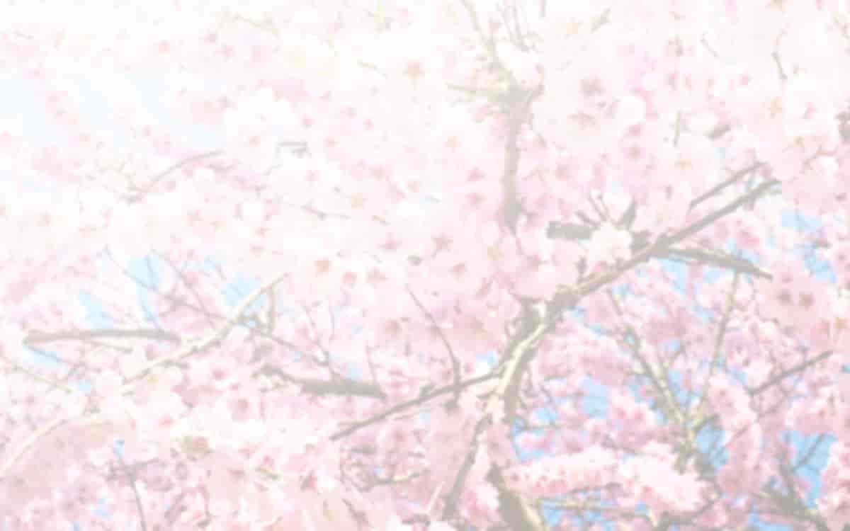 汉化版-[ぴゅあらいと] 寝取られ介護～隣の部屋では妻とアイツが…～[云心汉化组_第13集