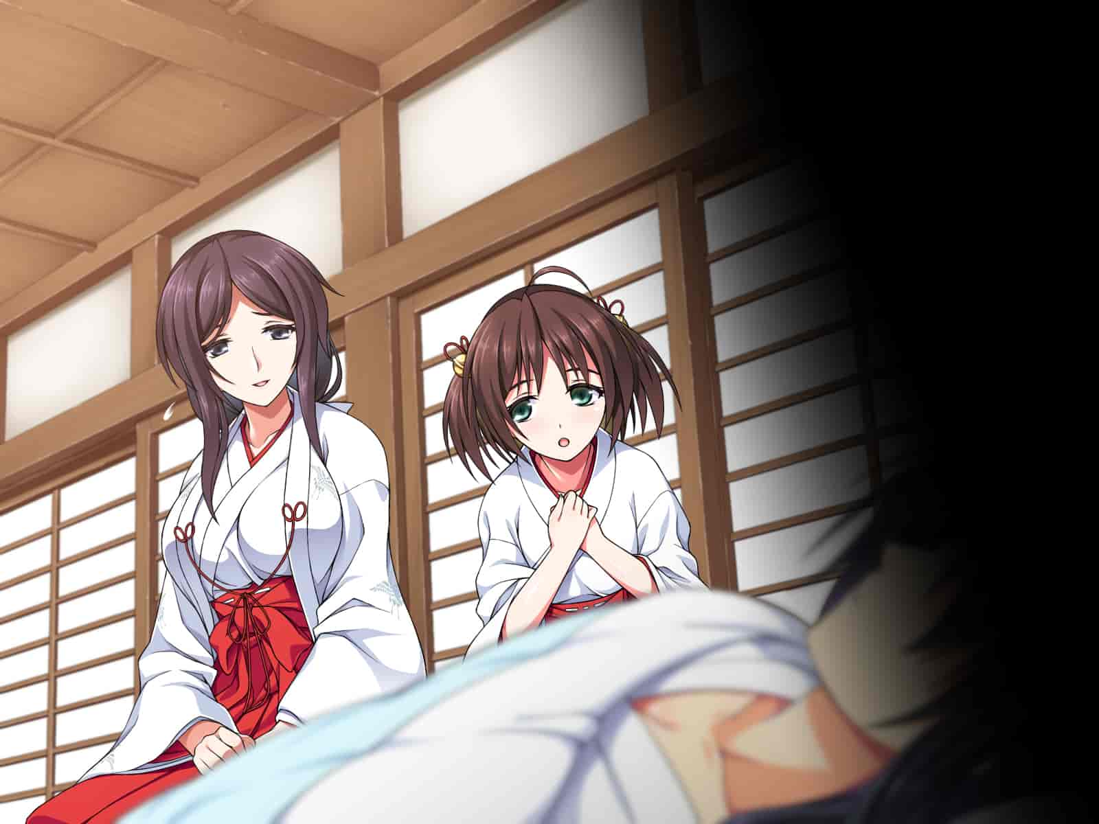 汉化版-[邀邀妻个人汉化][ズガイコツマルダシ] 巫女落華 其の弐 葵編_第9集
