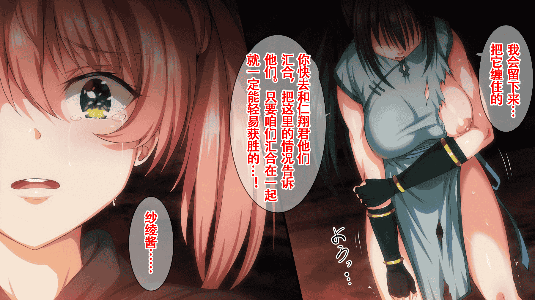 汉化版-(同人CG集) [22-07] [ろくまる荘 (さんろく丸)] 魔物の贄2 ～異種の仔を孕んだ冒険者達～ [中国翻訳]_第2集