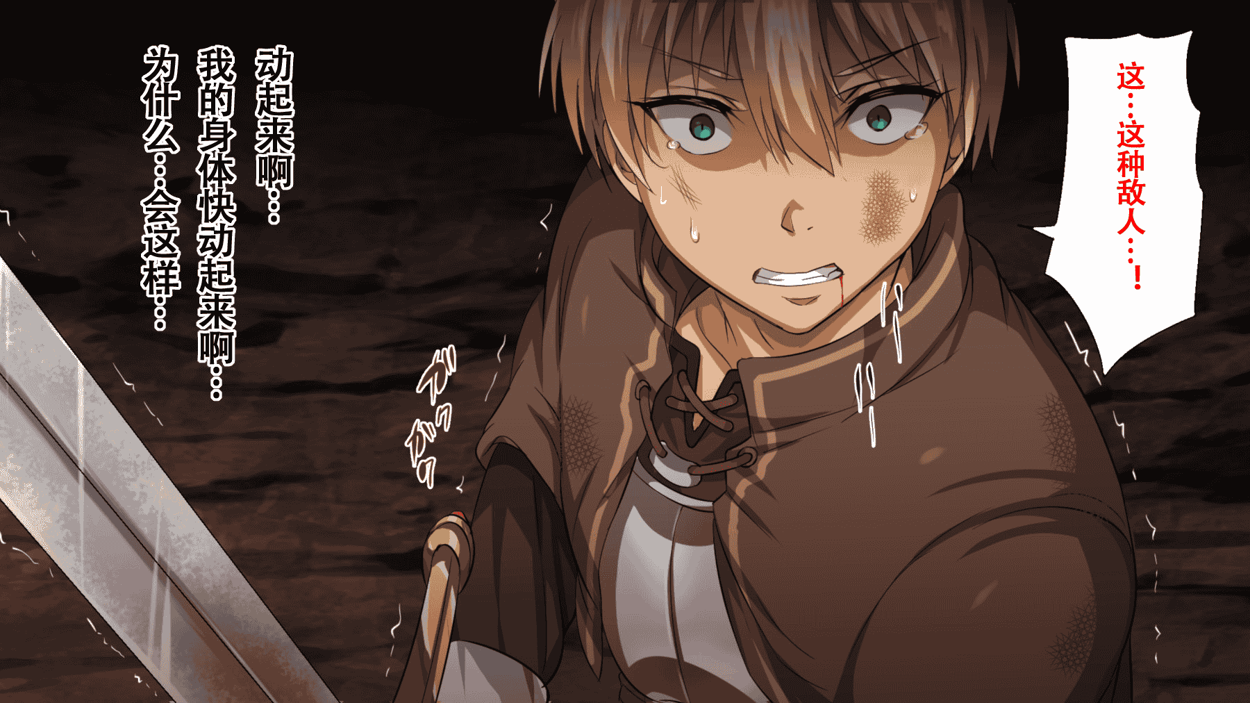 汉化版-(同人CG集) [22-07] [ろくまる荘 (さんろく丸)] 魔物の贄2 ～異種の仔を孕んだ冒険者達～ [中国翻訳]_第2集