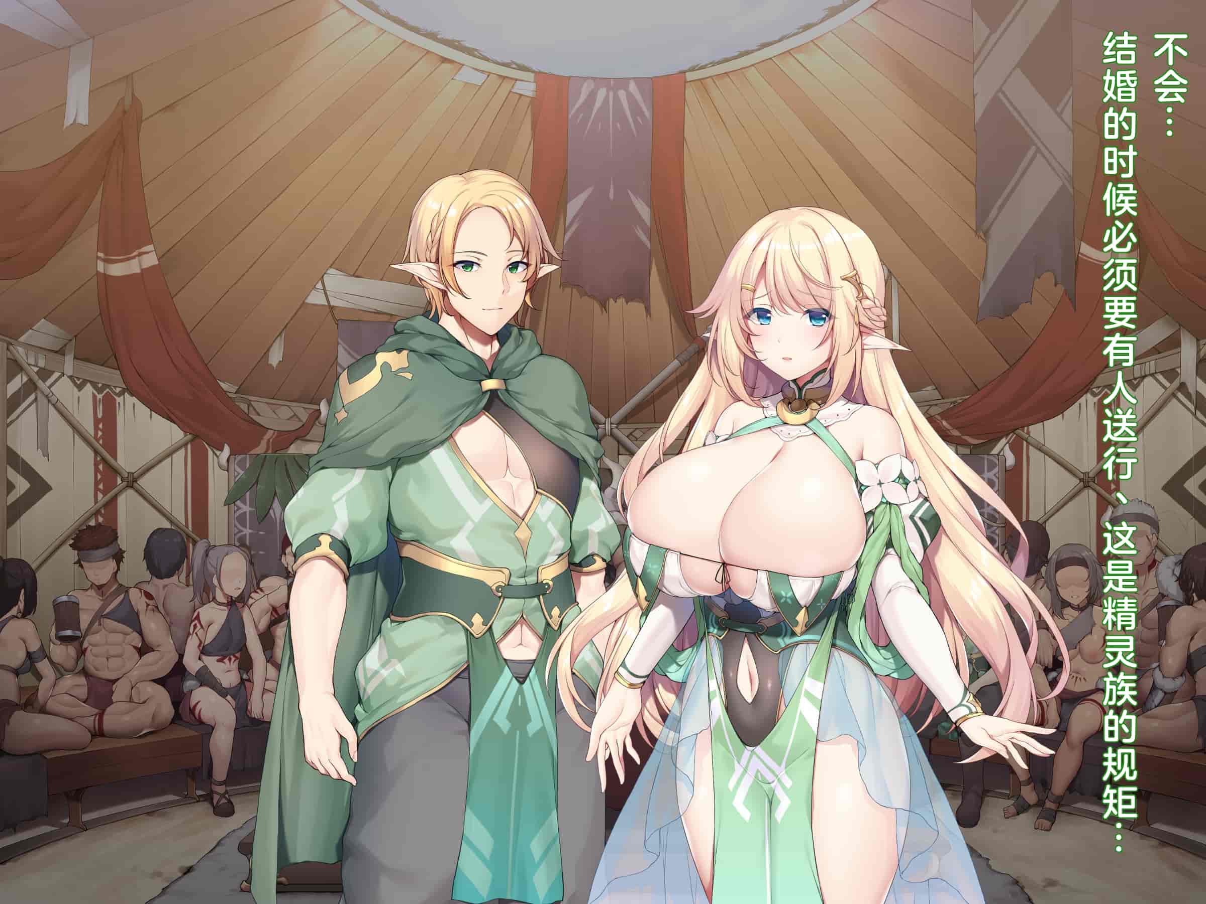汉化版-(同人CG集) [diletta (成海クリスティアーノート)] 蛮族に嫁いだエルフの姫_第1集
