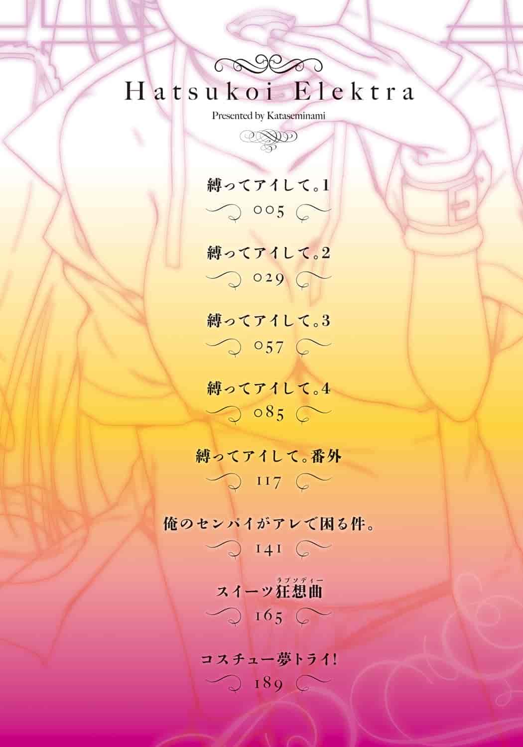 汉化版-[カタセミナミ] 発恋エレクトラ_第1集
