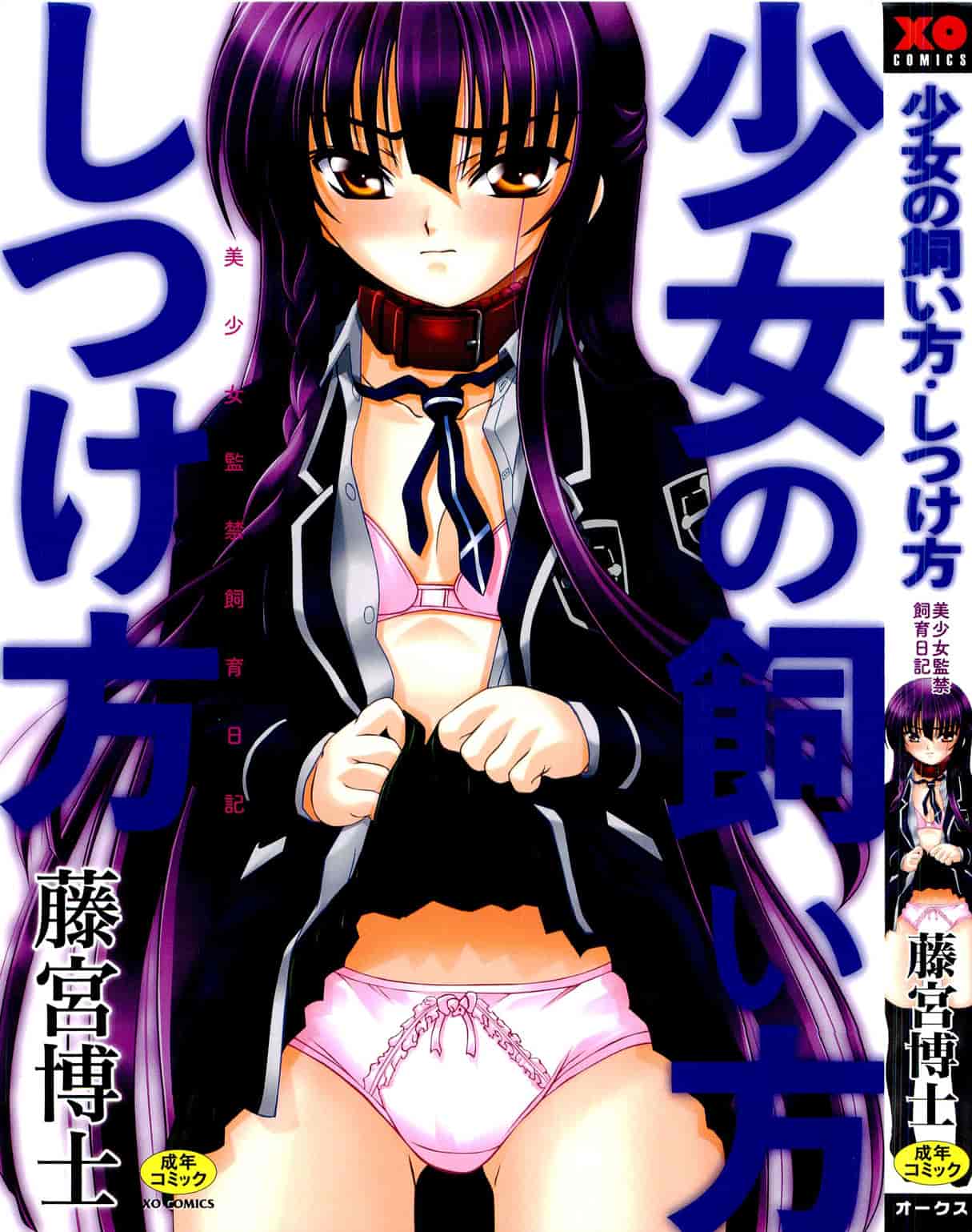 汉化版-[Fujimiya Hiroshi] Shoujo no Kaikata Shitsukekata ~ Bishoujo Kankin Shiiku Nikki ~ [Chinese] [灵梦书院汉化]_第1集
