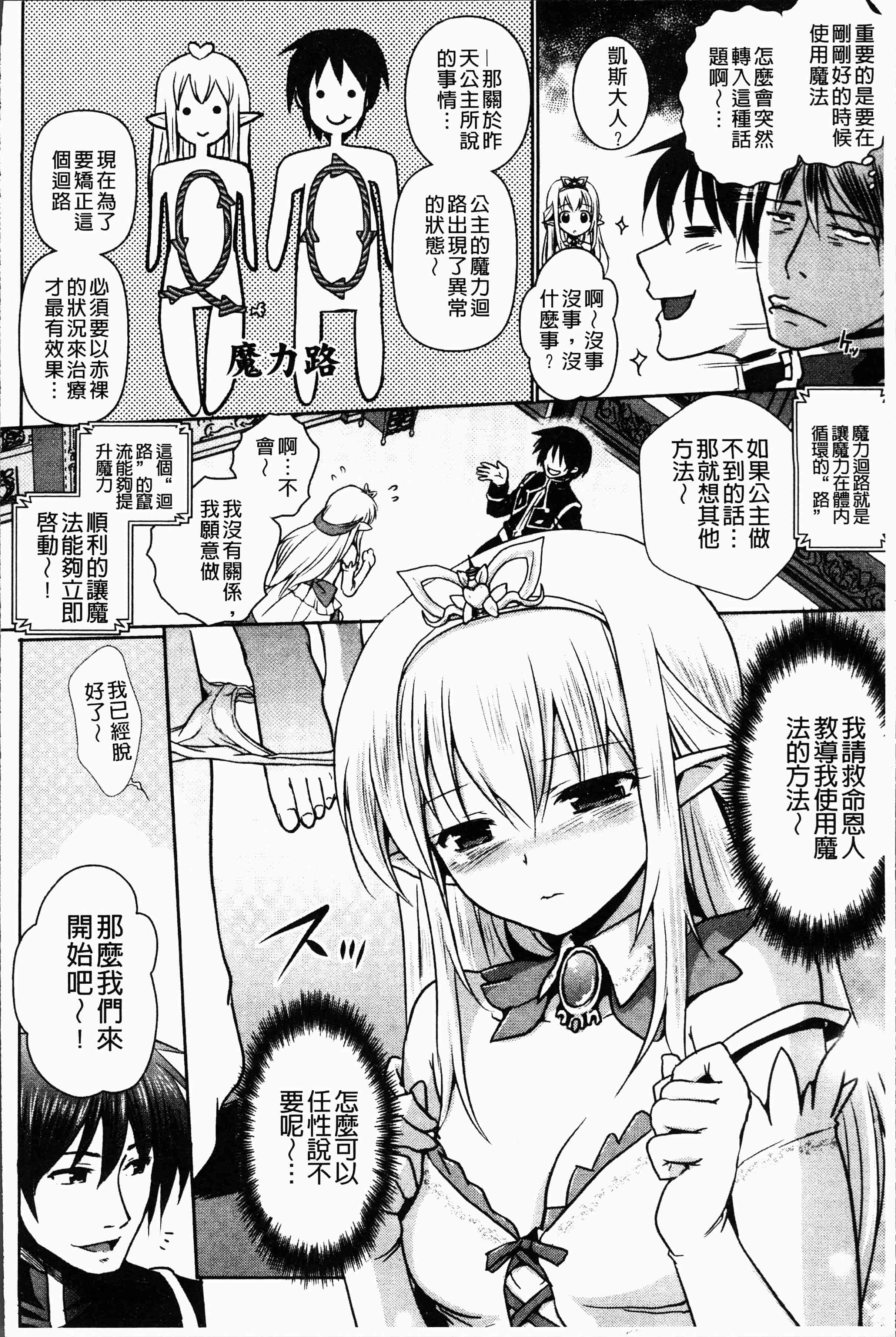 汉化版-[磯貝武連, 時丸佳久] エルフ国宮廷魔導師になれたで姫様にな悪戯をしてみた THE COMIC [4K[S版]掃圖組]_第1集