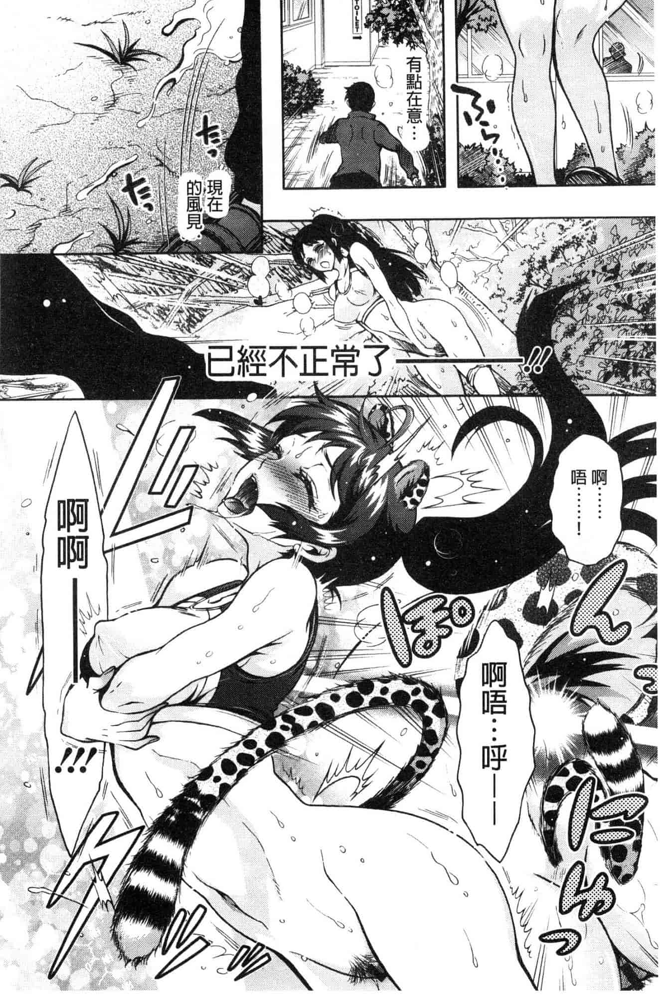 汉化版-[ほんだありま] 超々肉食系女子 [風的工房] C3659_第6集