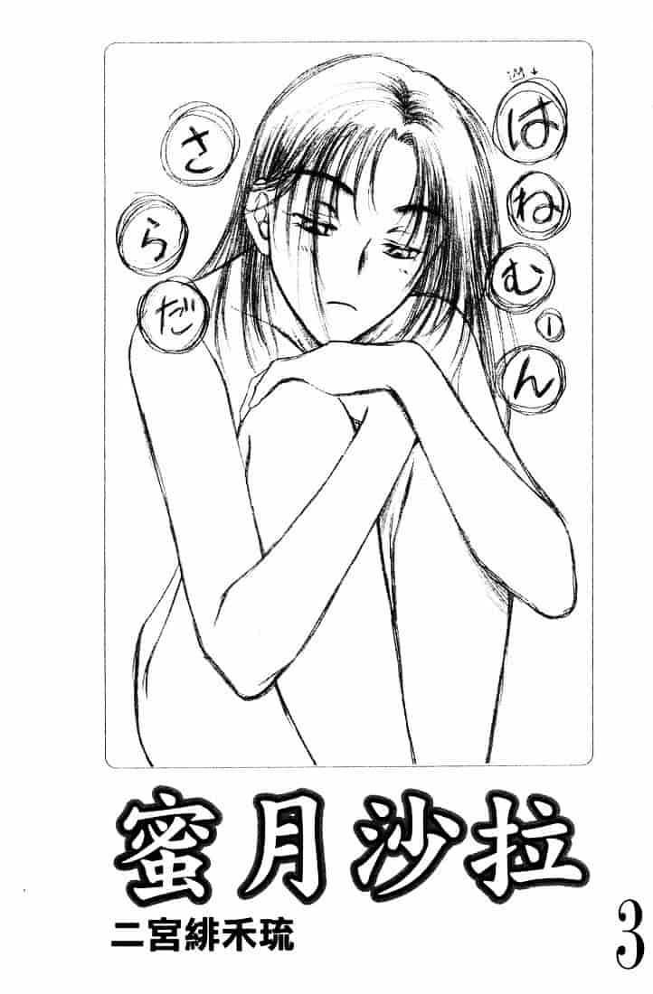[二宮ひかる] ハネムーンサラダ 3_第1集