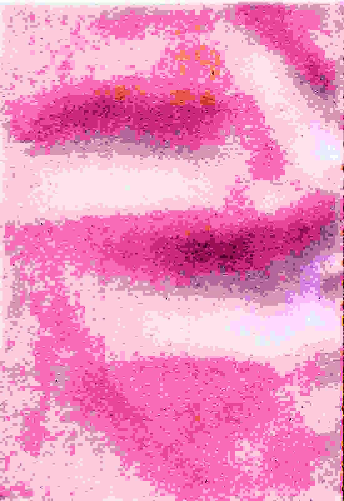 [北河トウタ] あれふぇち_第1集