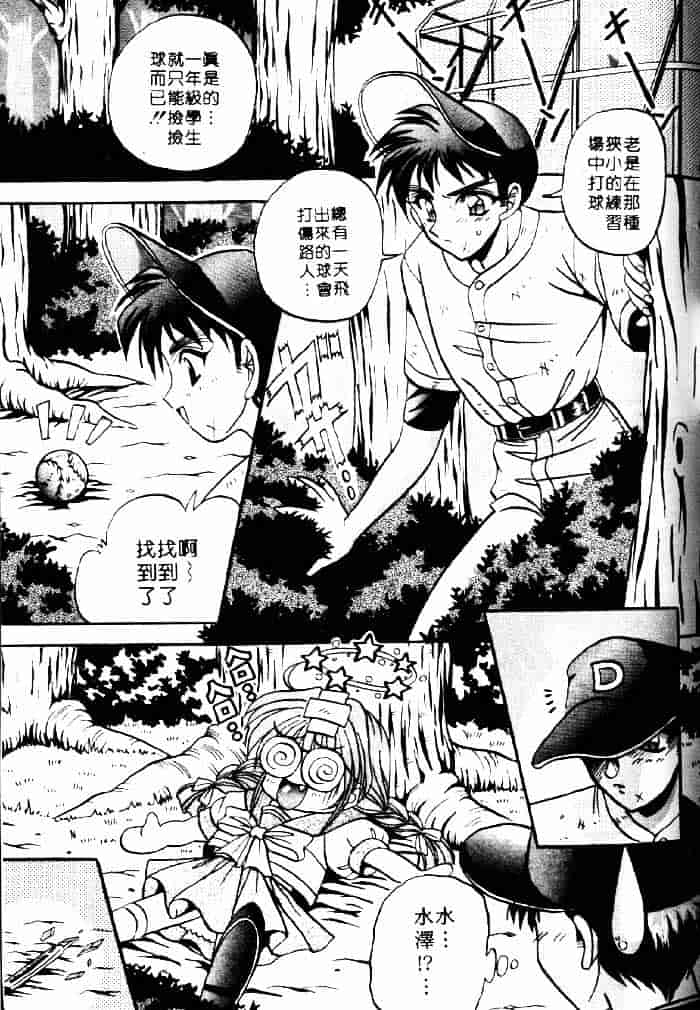 [アップルトン] フェアリー・パラダイス_第4集