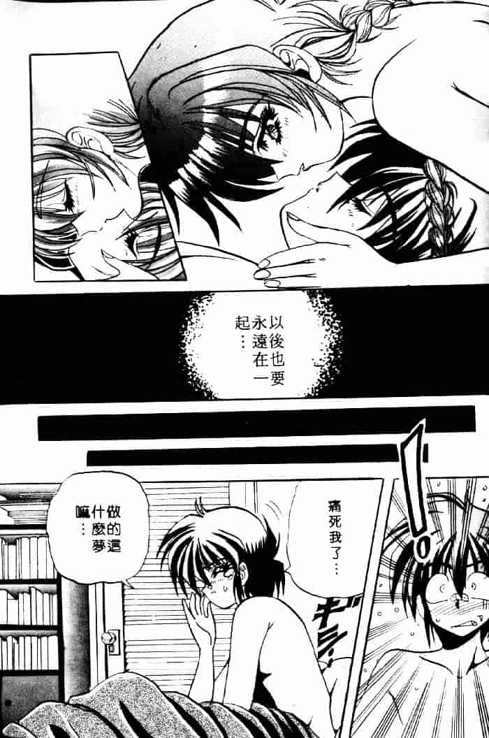 [アップルトン] フェアリー・パラダイス_第4集
