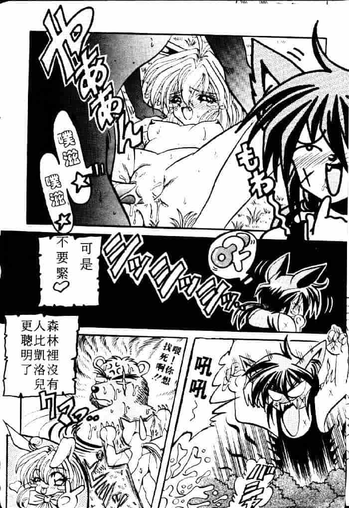 [アップルトン] フェアリー・パラダイス_第5集