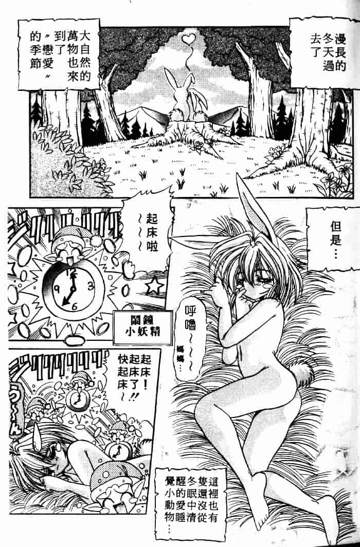 [アップルトン] フェアリー・パラダイス_第1集