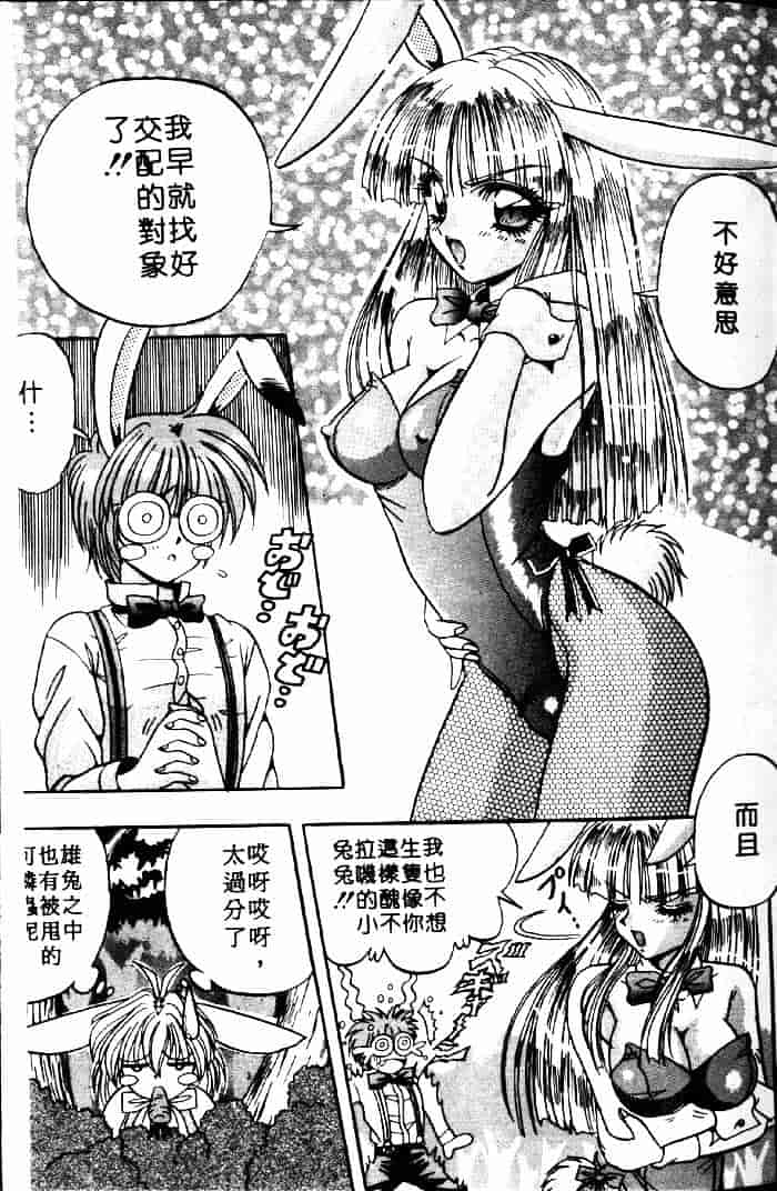 [アップルトン] フェアリー・パラダイス_第1集