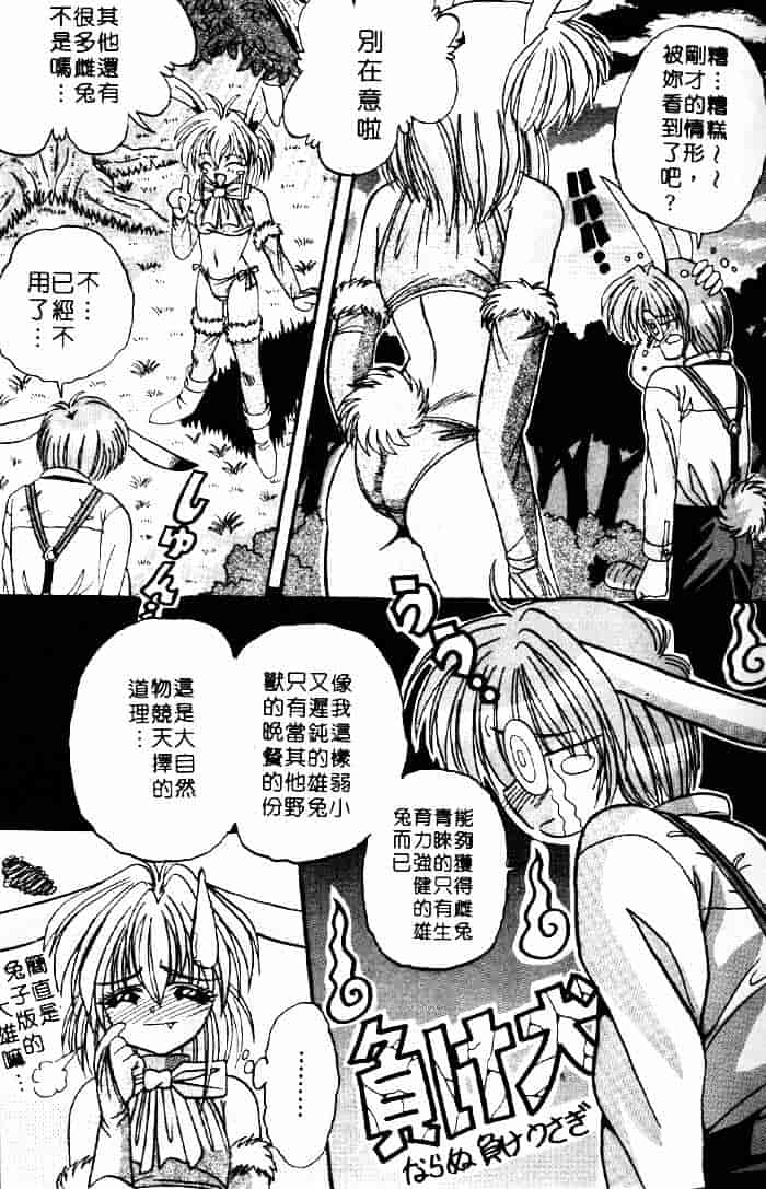 [アップルトン] フェアリー・パラダイス_第1集