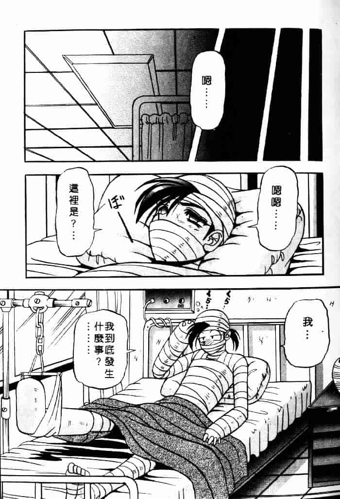 [アップルトン] フェアリー・パラダイス_第3集