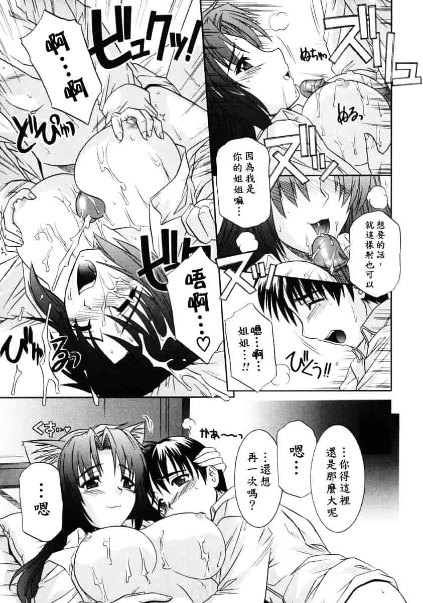[つつみあかり] 姉の淫腔_第4集