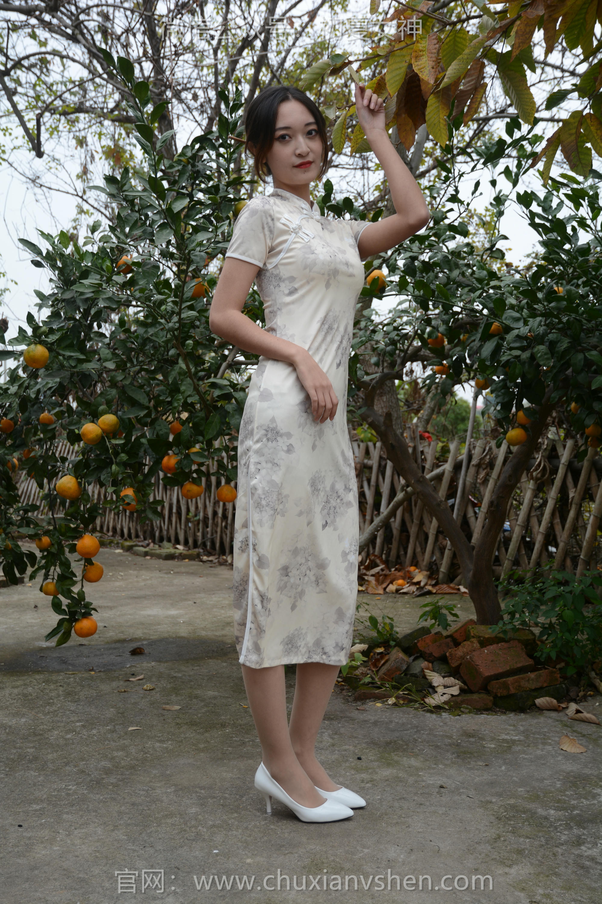 初夏女神 NO.120 依依 寒冬旗袍风[140P+1V／3.27GB]_第1集