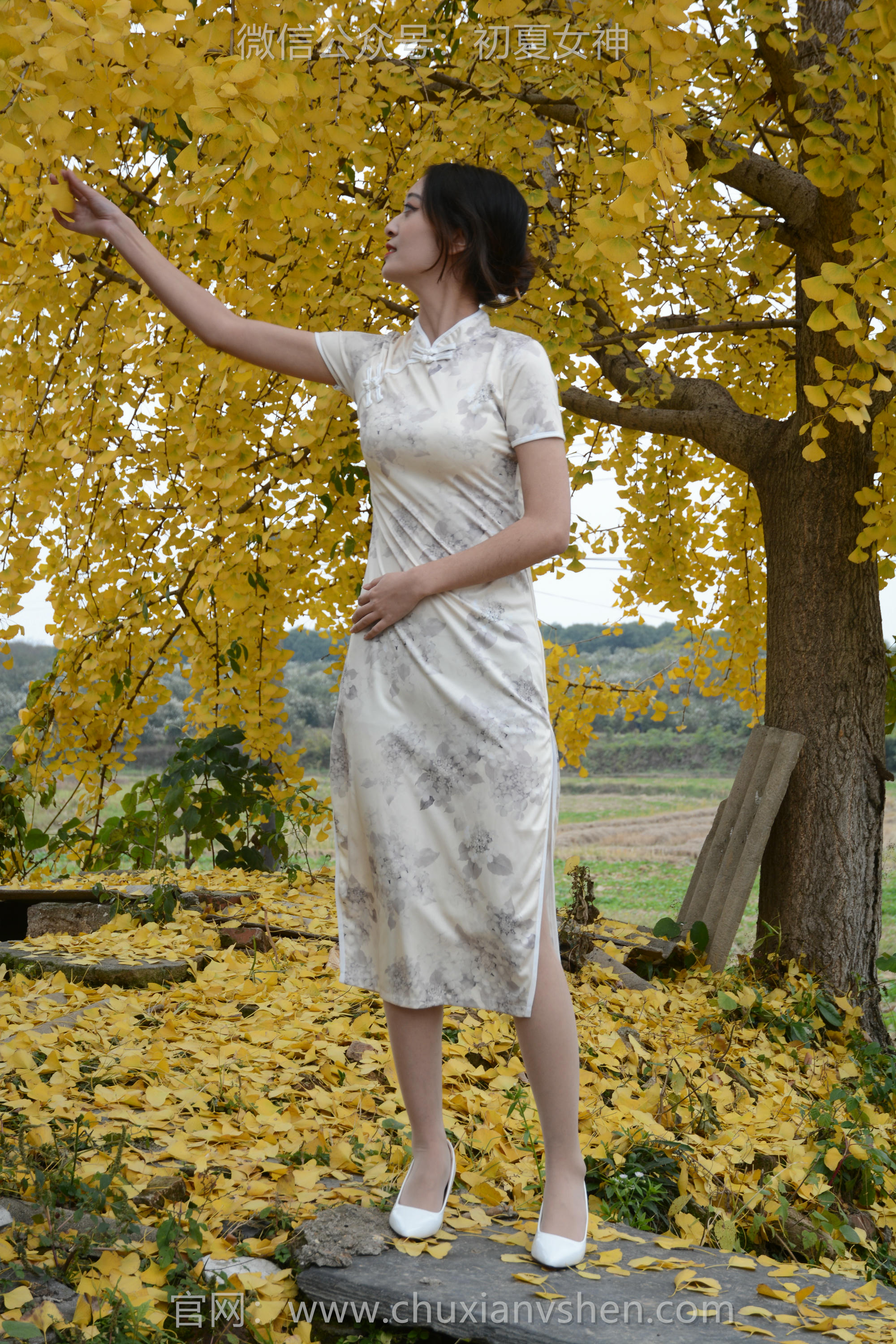 初夏女神 NO.120 依依 寒冬旗袍风[140P+1V／3.27GB]_第1集