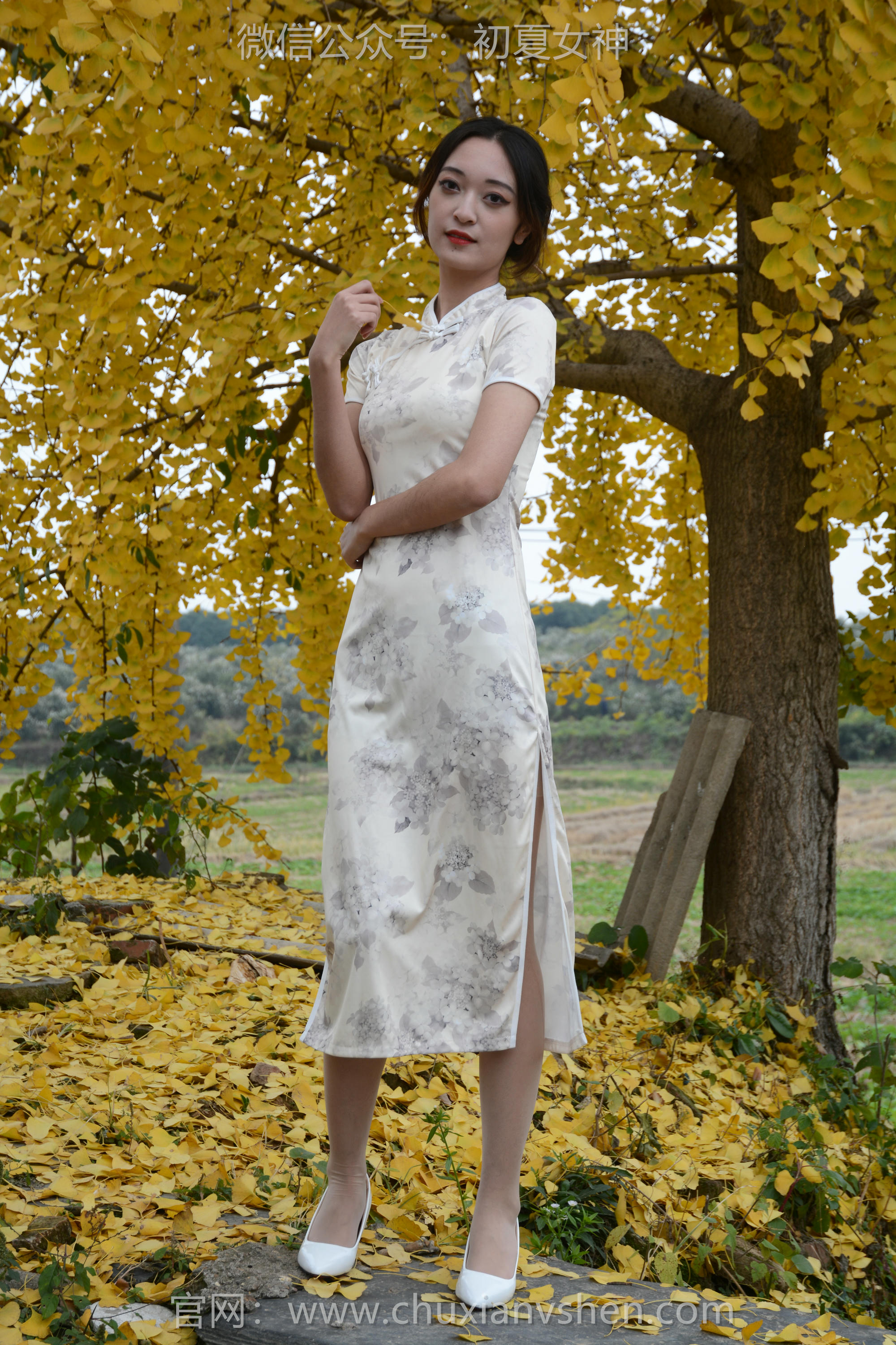 初夏女神 NO.120 依依 寒冬旗袍风[140P+1V／3.27GB]_第1集