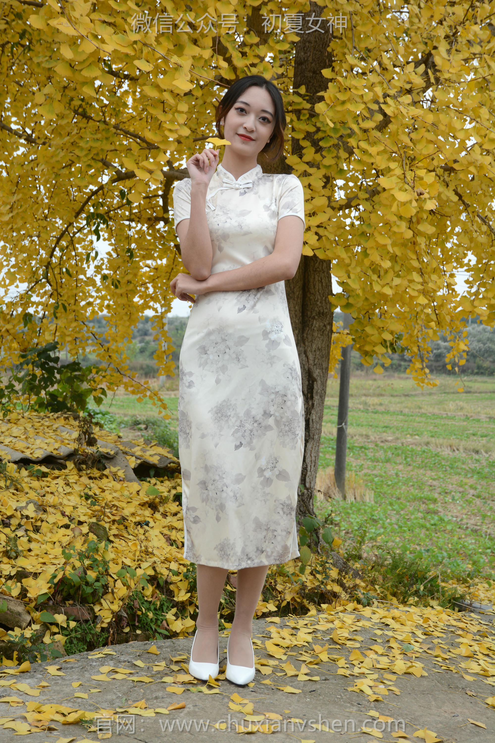 初夏女神 NO.120 依依 寒冬旗袍风[140P+1V／3.27GB]_第1集