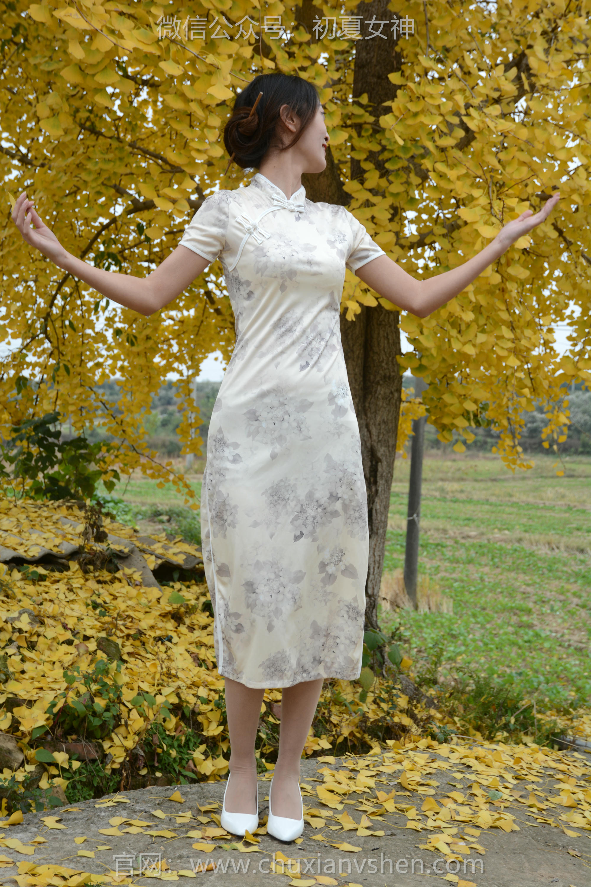 初夏女神 NO.120 依依 寒冬旗袍风[140P+1V／3.27GB]_第1集