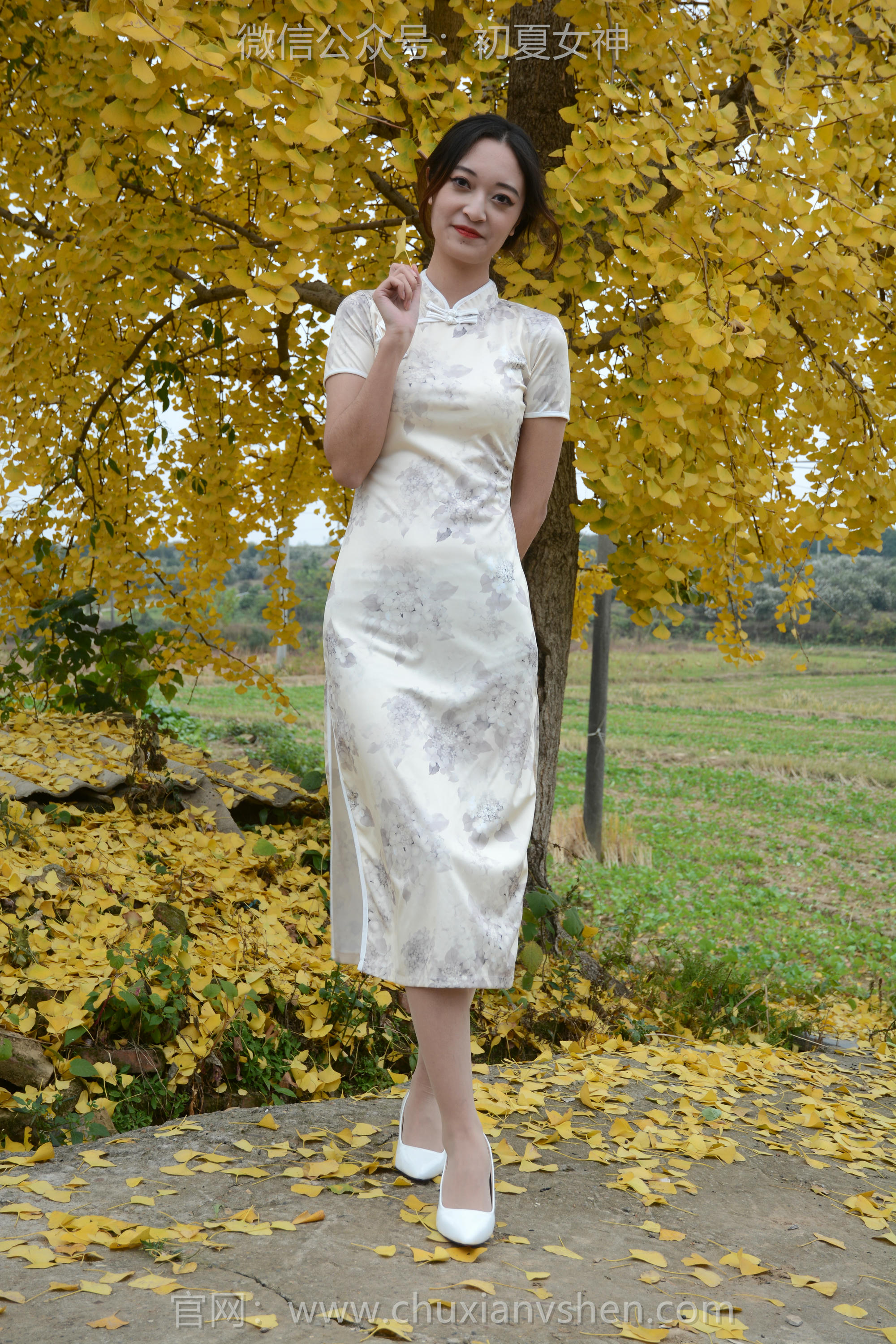 初夏女神 NO.120 依依 寒冬旗袍风[140P+1V／3.27GB]_第1集