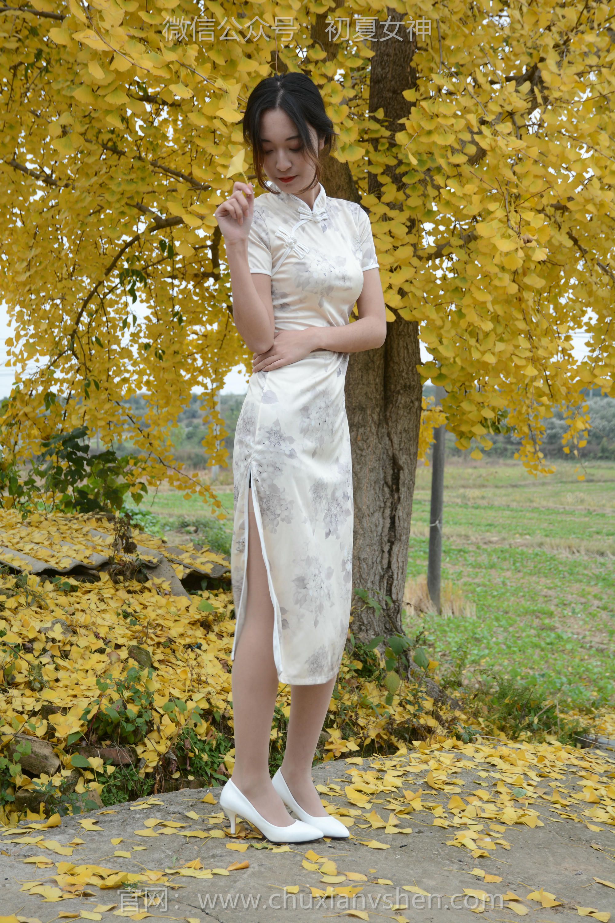 初夏女神 NO.120 依依 寒冬旗袍风[140P+1V／3.27GB]_第1集