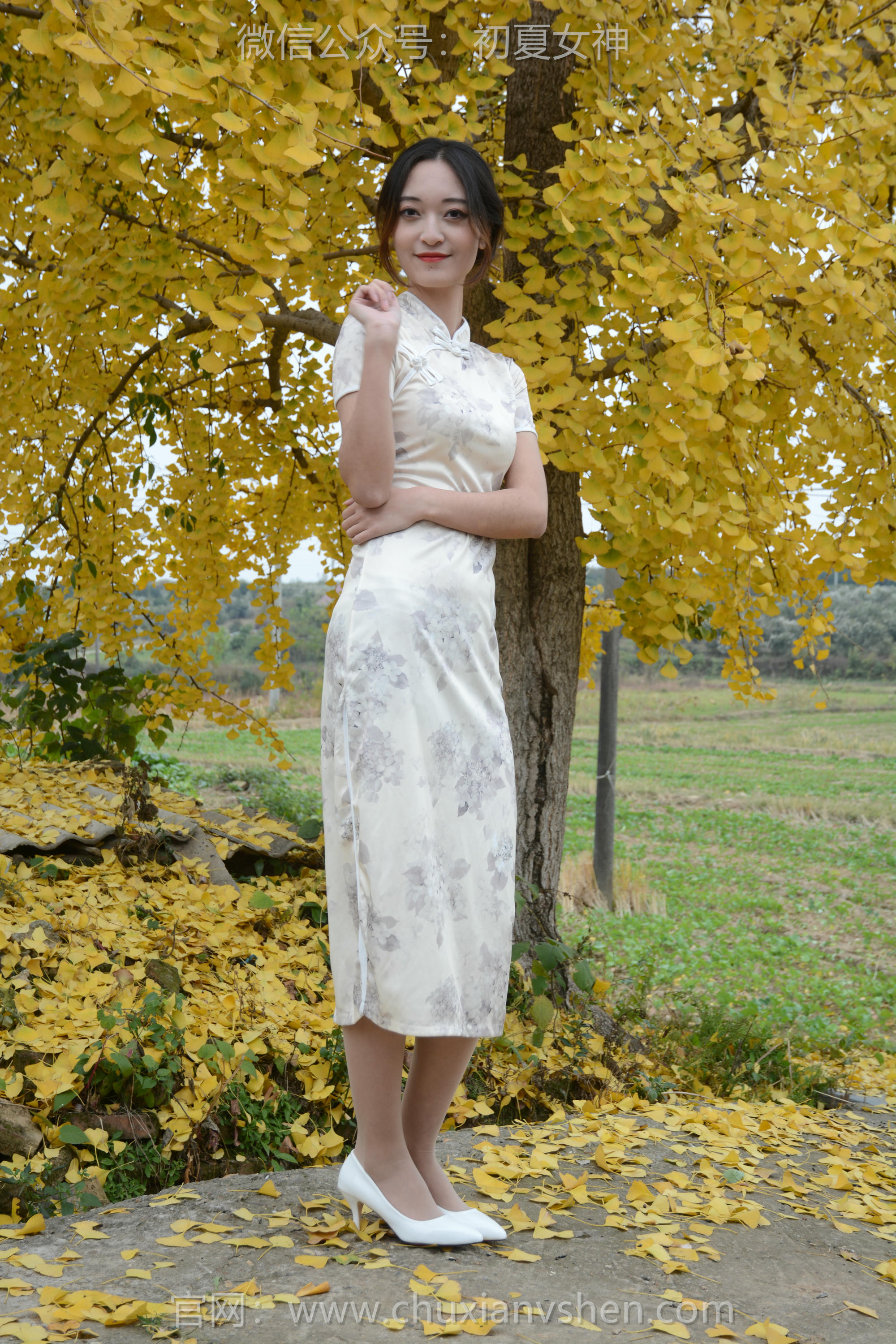 初夏女神 NO.120 依依 寒冬旗袍风[140P+1V／3.27GB]_第1集