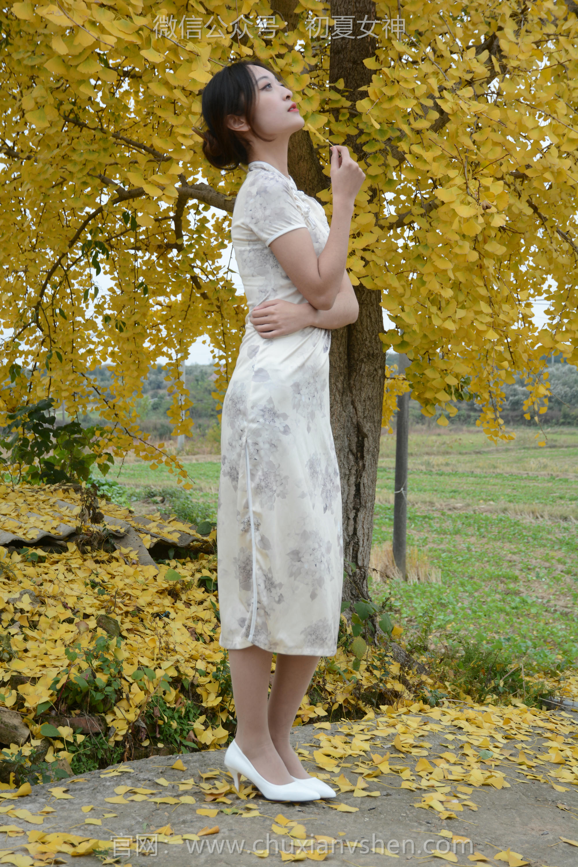 初夏女神 NO.120 依依 寒冬旗袍风[140P+1V／3.27GB]_第1集