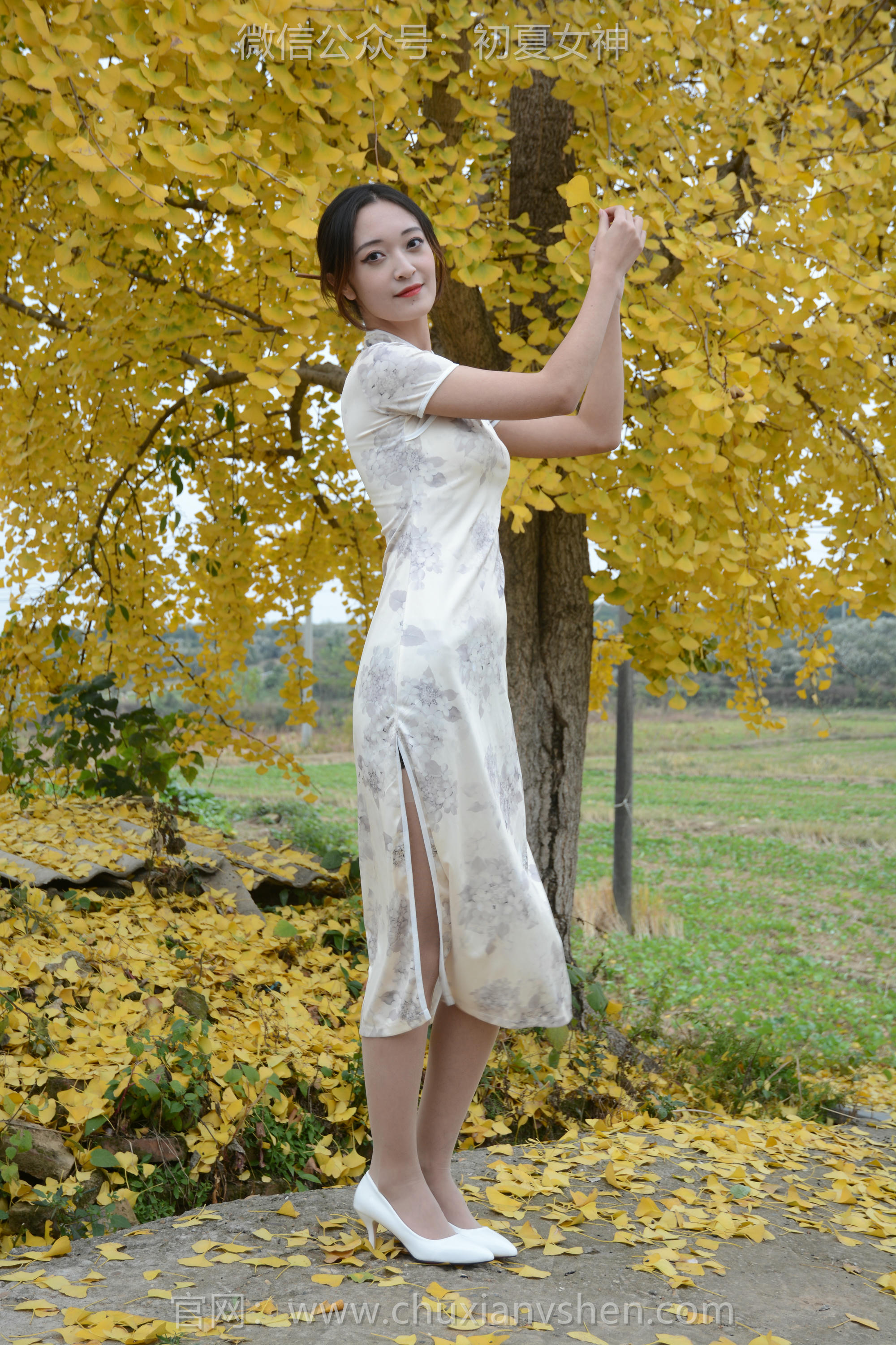 初夏女神 NO.120 依依 寒冬旗袍风[140P+1V／3.27GB]_第1集