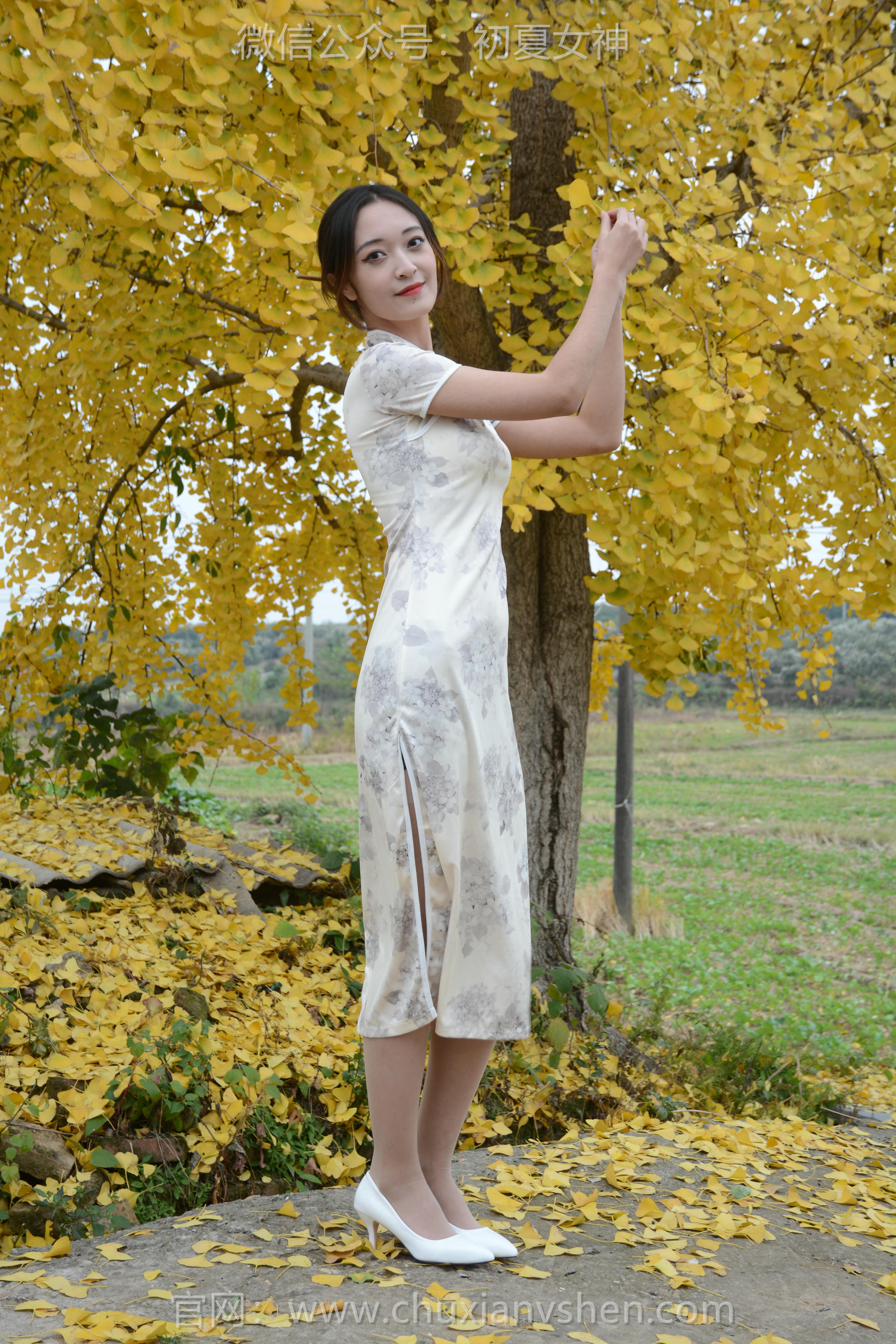 初夏女神 NO.120 依依 寒冬旗袍风[140P+1V／3.27GB]_第1集