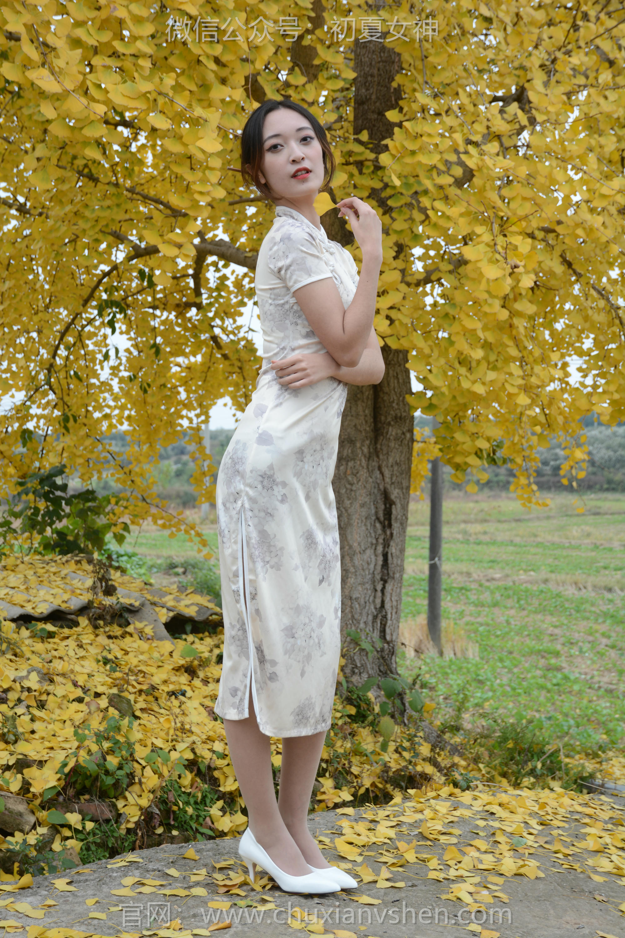 初夏女神 NO.120 依依 寒冬旗袍风[140P+1V／3.27GB]_第1集