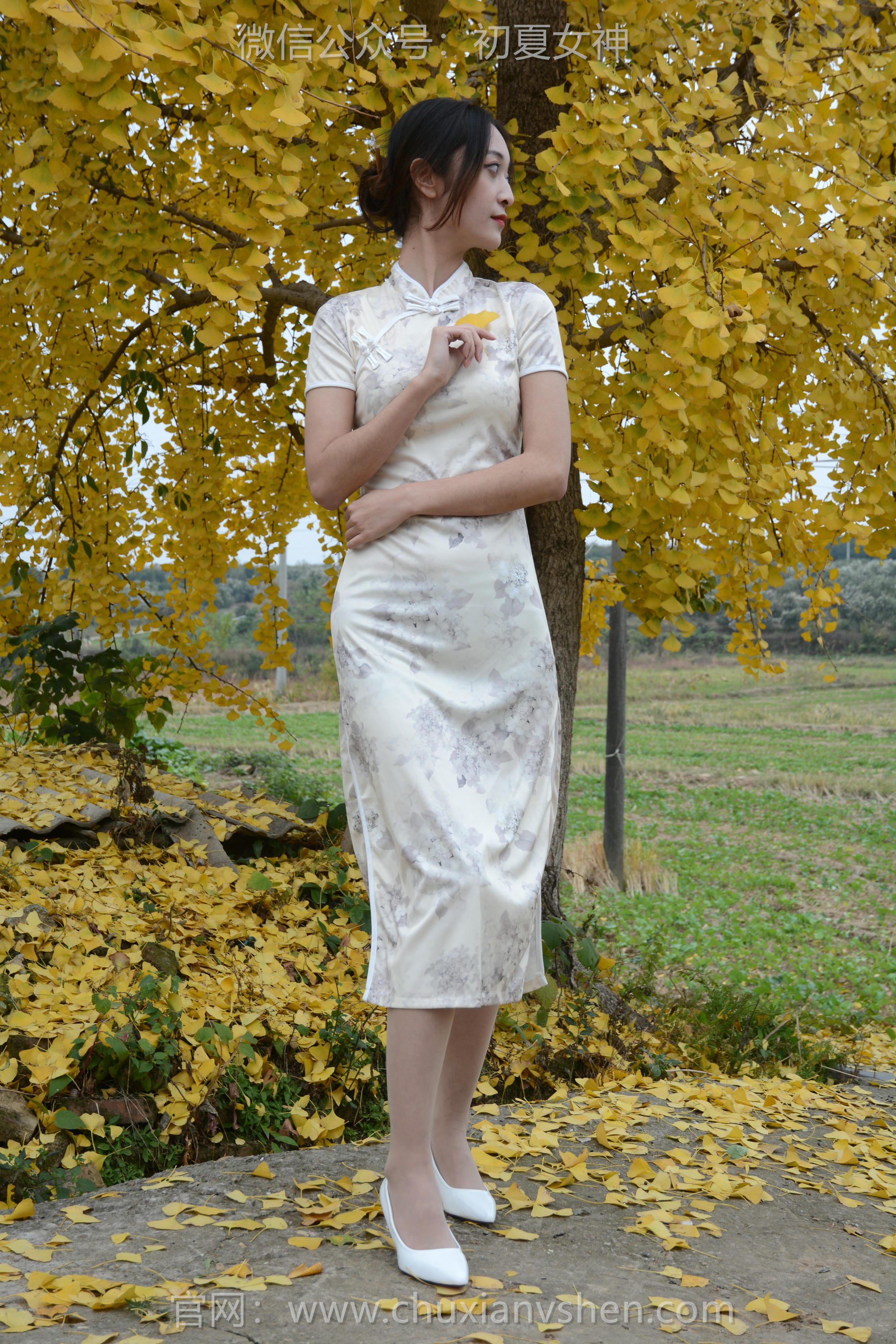 初夏女神 NO.120 依依 寒冬旗袍风[140P+1V／3.27GB]_第2集