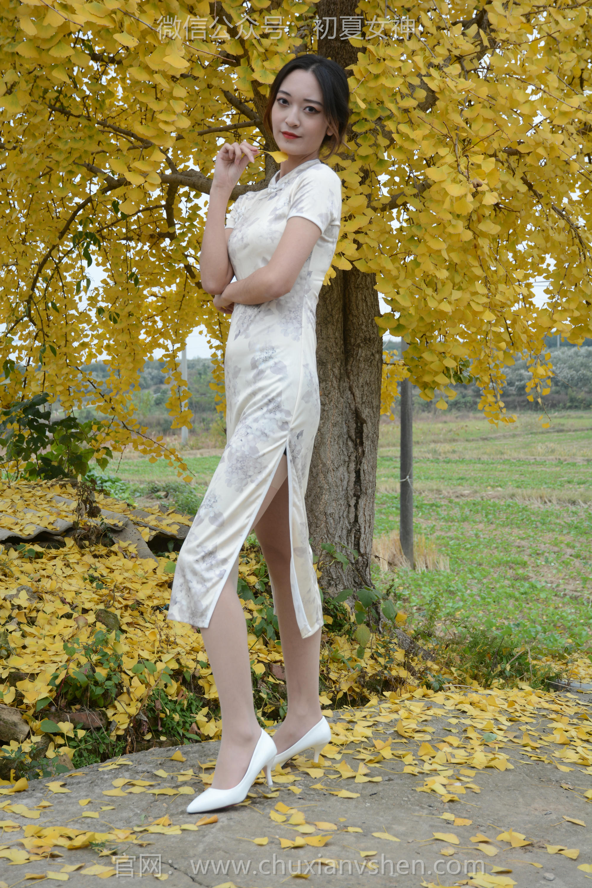 初夏女神 NO.120 依依 寒冬旗袍风[140P+1V／3.27GB]_第2集