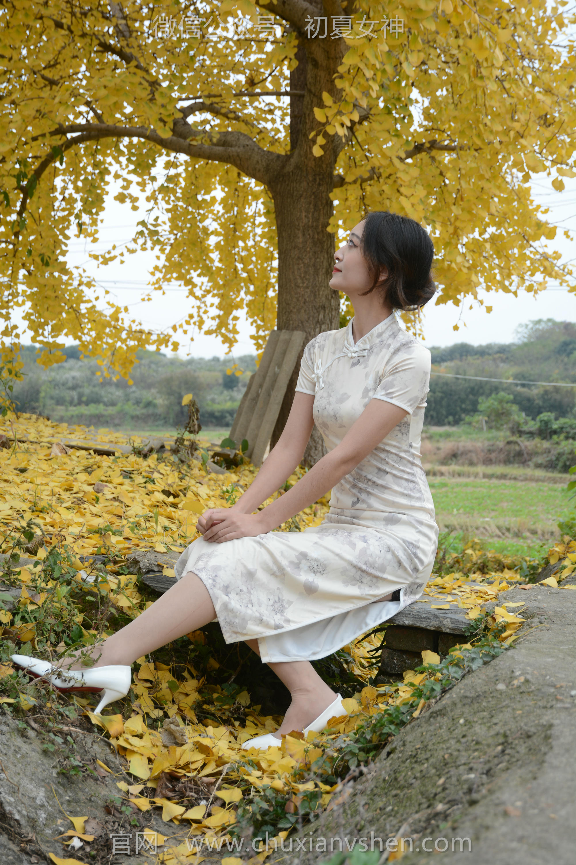 初夏女神 NO.120 依依 寒冬旗袍风[140P+1V／3.27GB]_第2集