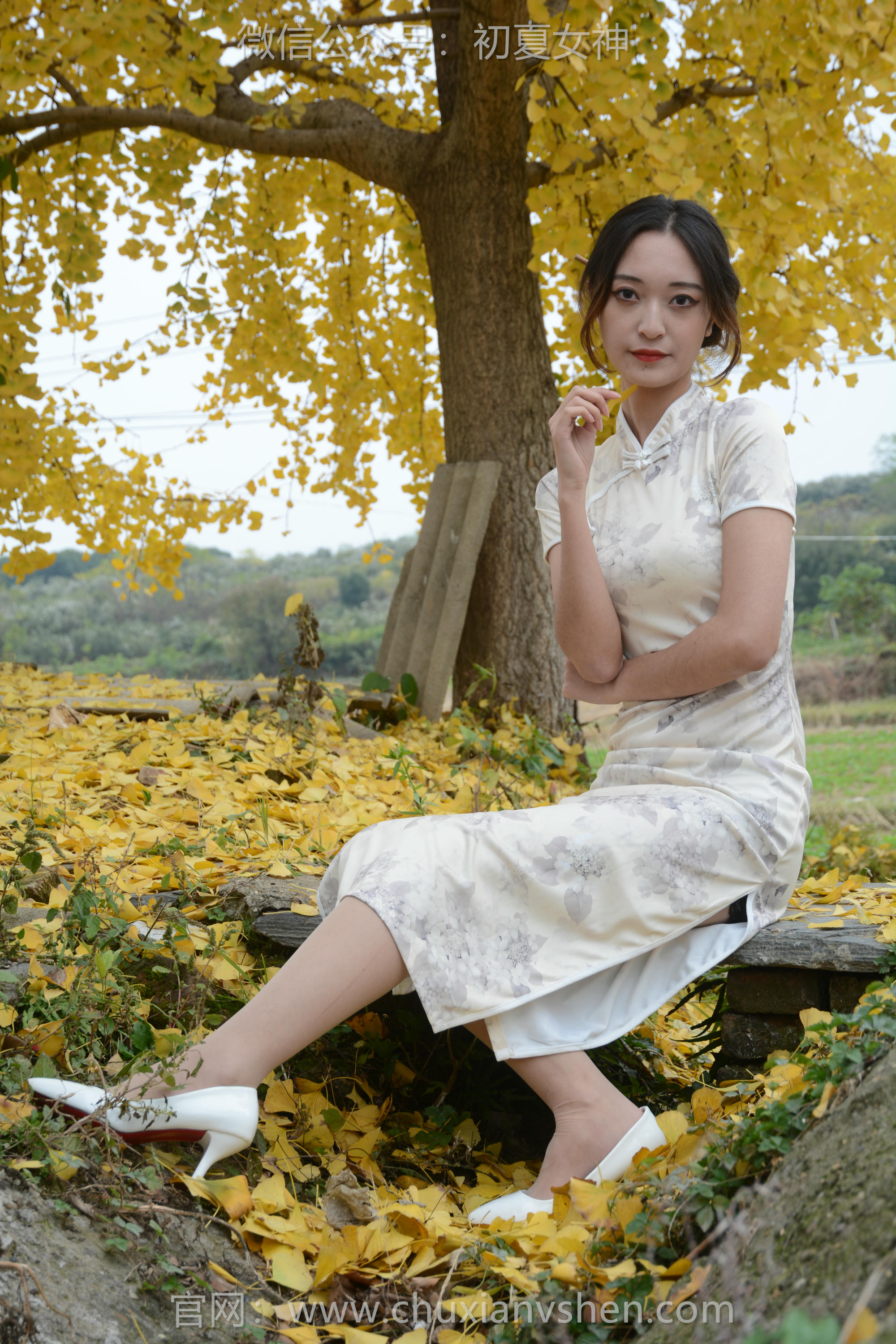 初夏女神 NO.120 依依 寒冬旗袍风[140P+1V／3.27GB]_第2集