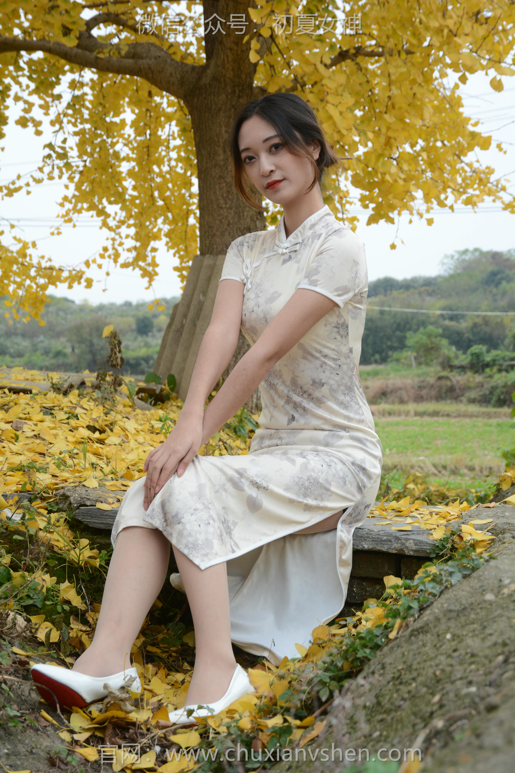 初夏女神 NO.120 依依 寒冬旗袍风[140P+1V／3.27GB]_第2集