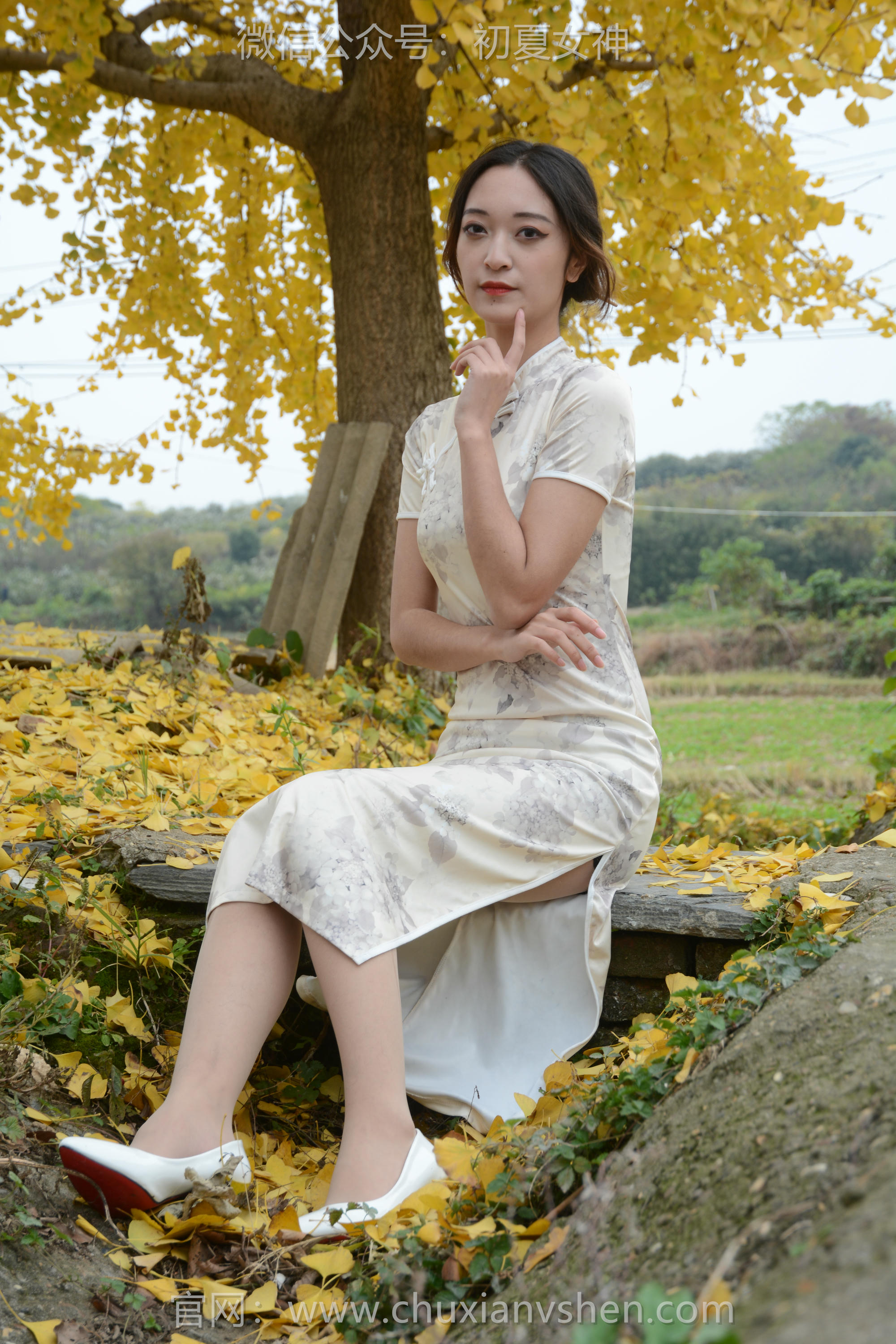 初夏女神 NO.120 依依 寒冬旗袍风[140P+1V／3.27GB]_第2集