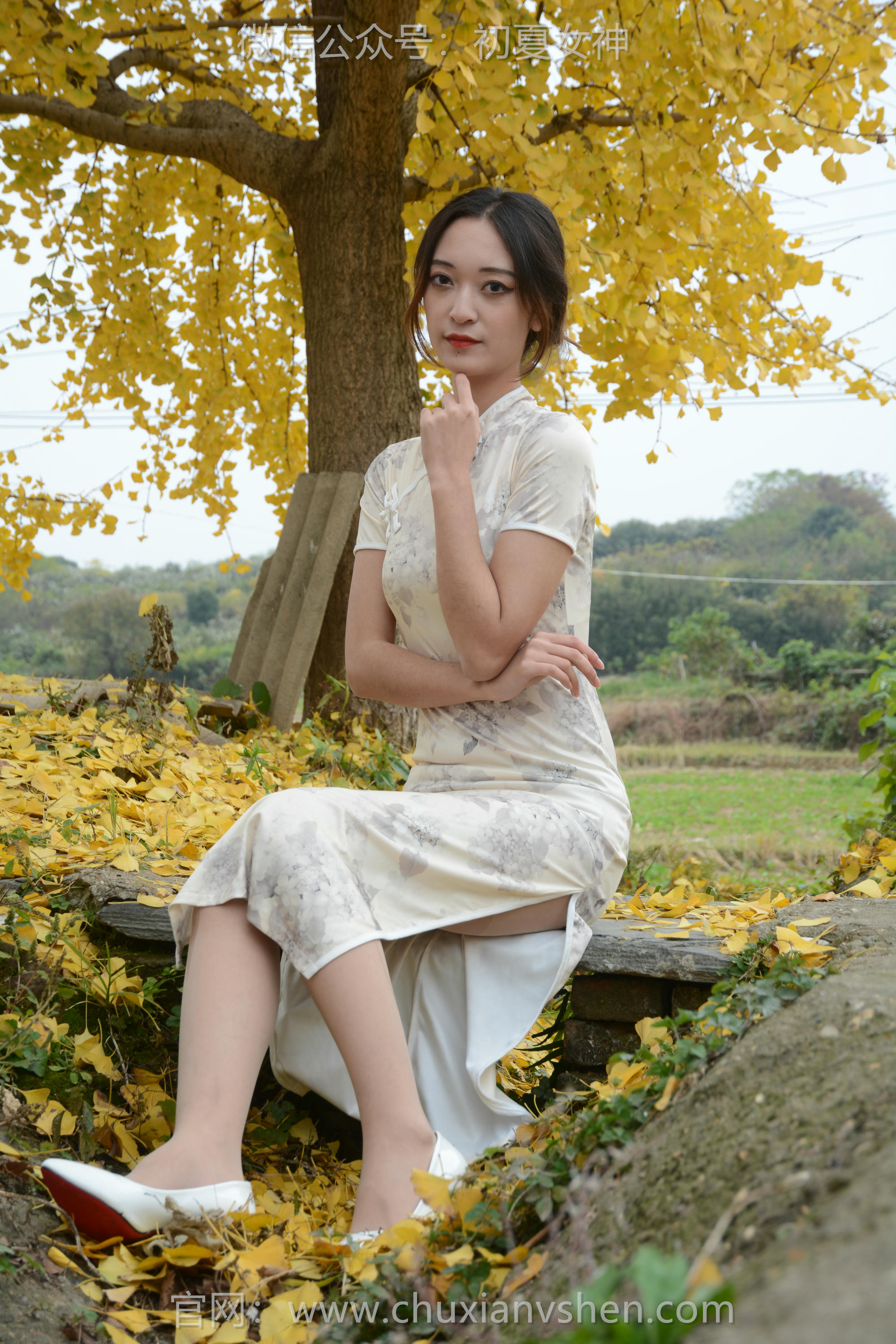 初夏女神 NO.120 依依 寒冬旗袍风[140P+1V／3.27GB]_第2集