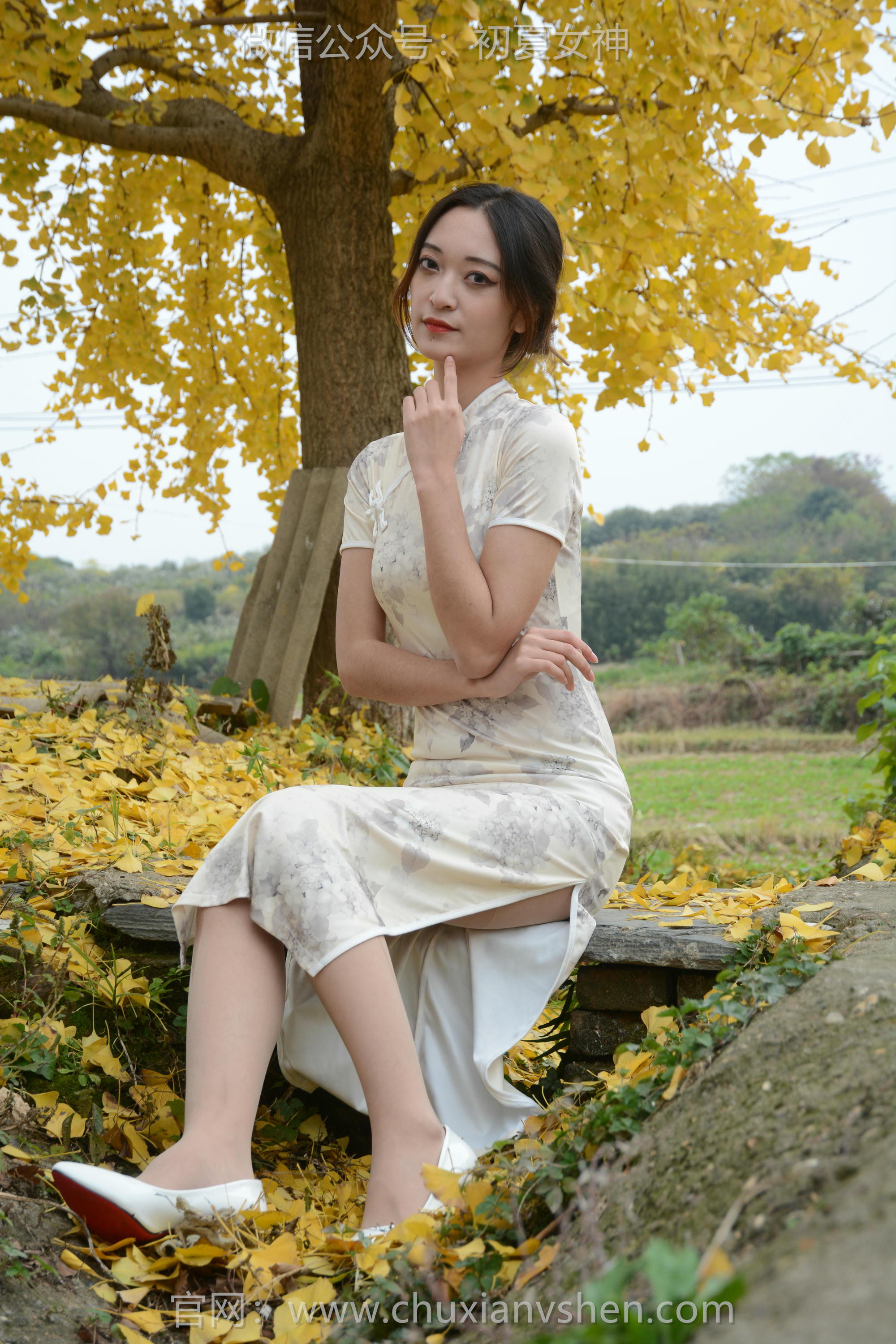 初夏女神 NO.120 依依 寒冬旗袍风[140P+1V／3.27GB]_第2集