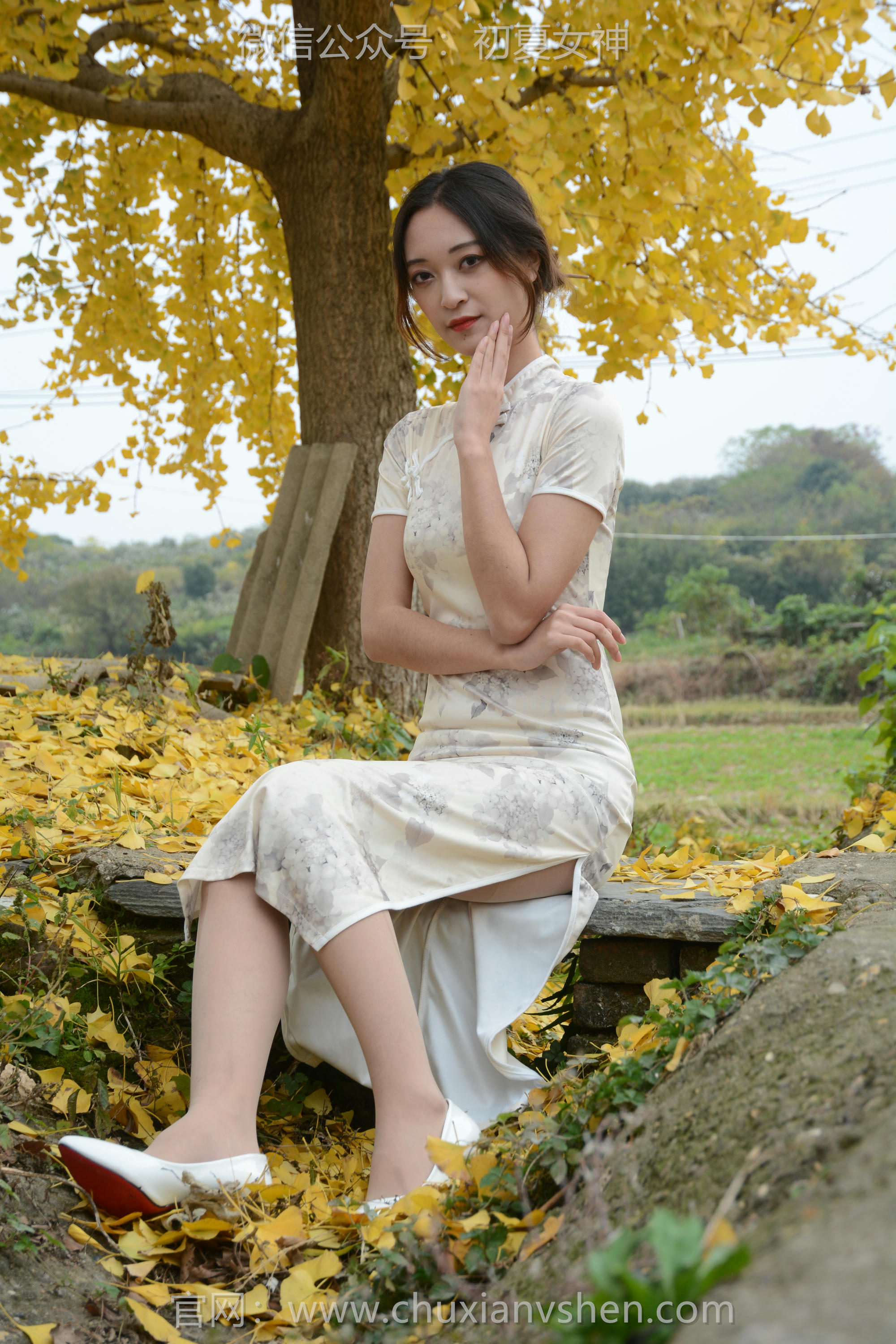 初夏女神 NO.120 依依 寒冬旗袍风[140P+1V／3.27GB]_第2集