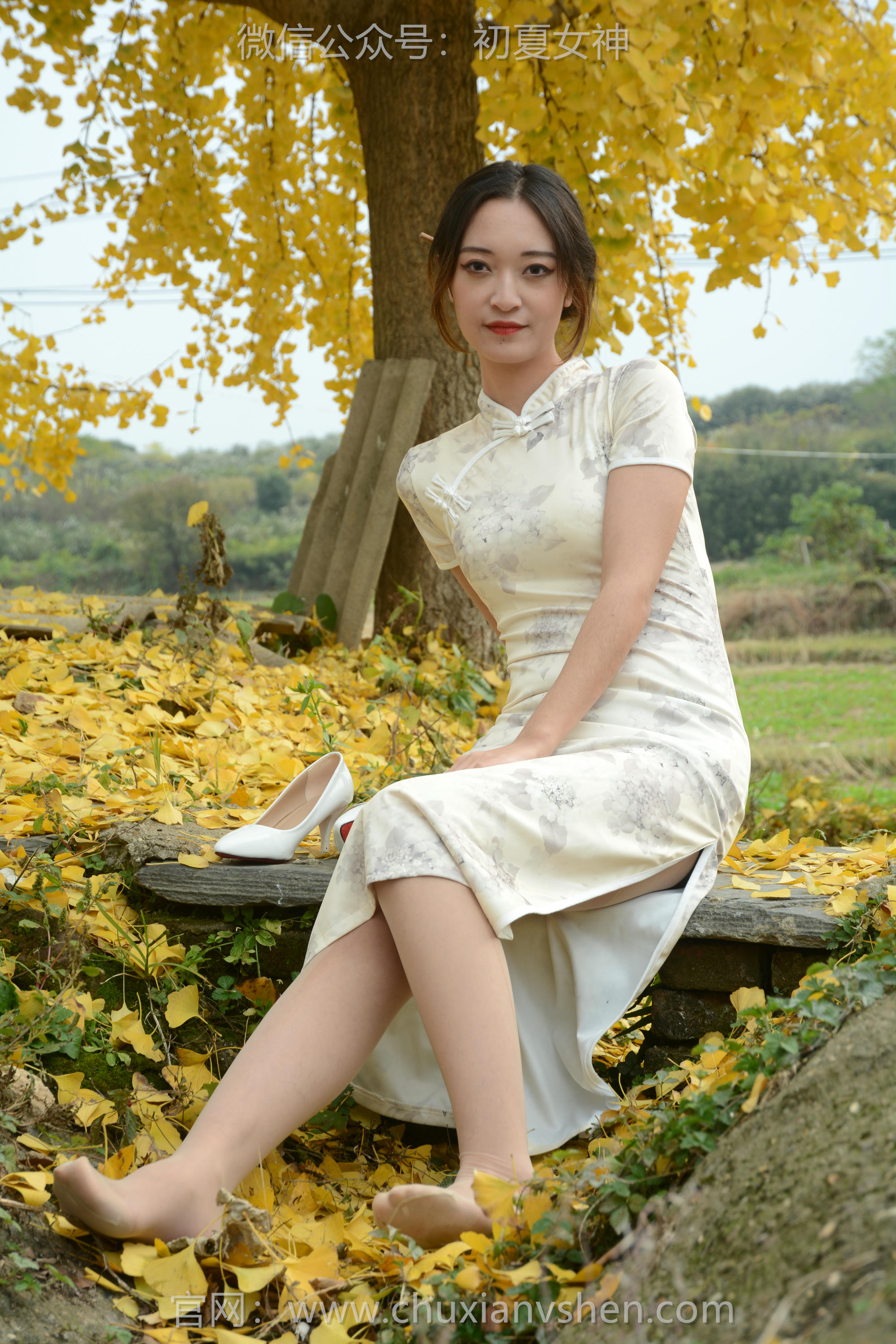 初夏女神 NO.120 依依 寒冬旗袍风[140P+1V／3.27GB]_第3集