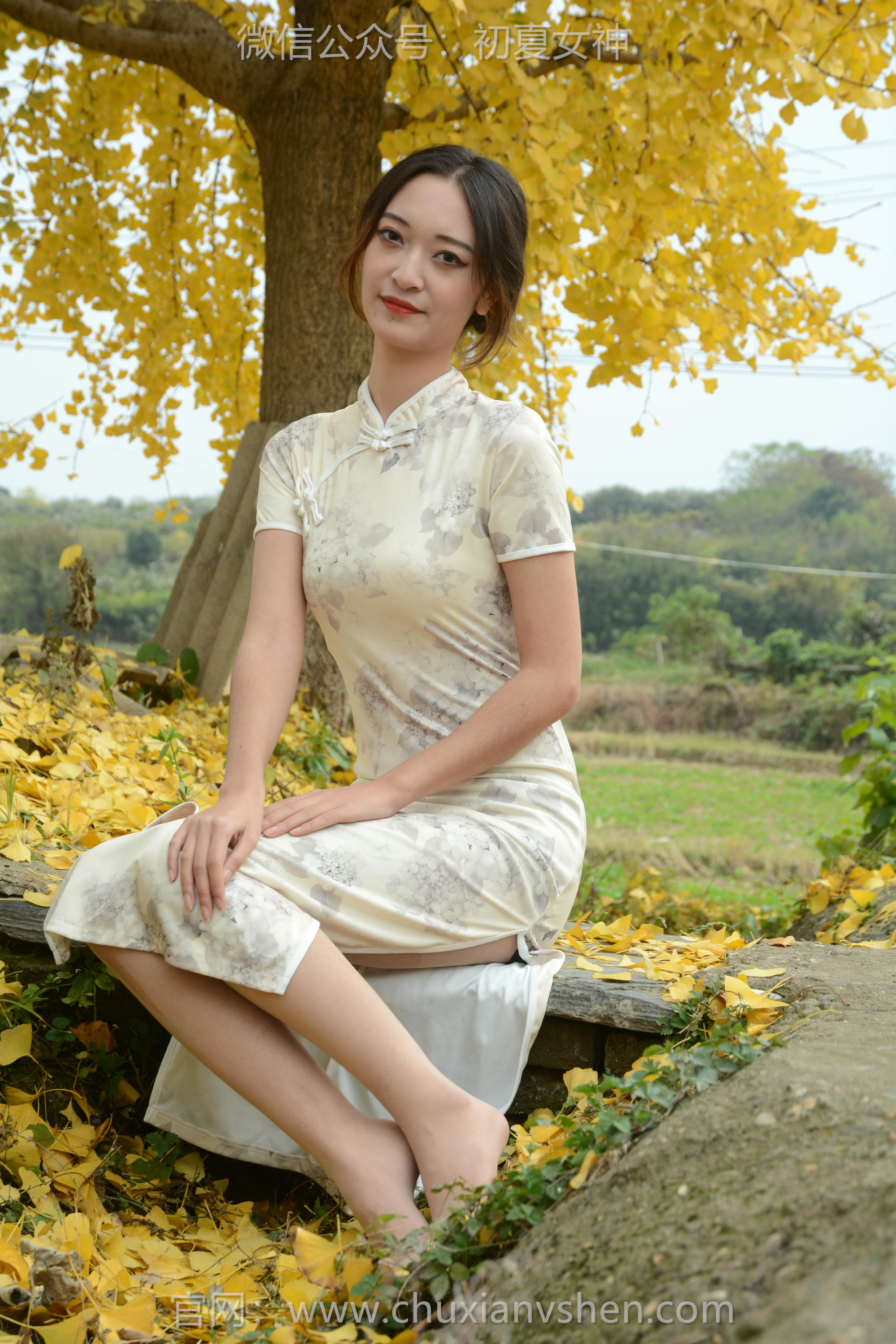 初夏女神 NO.120 依依 寒冬旗袍风[140P+1V／3.27GB]_第3集