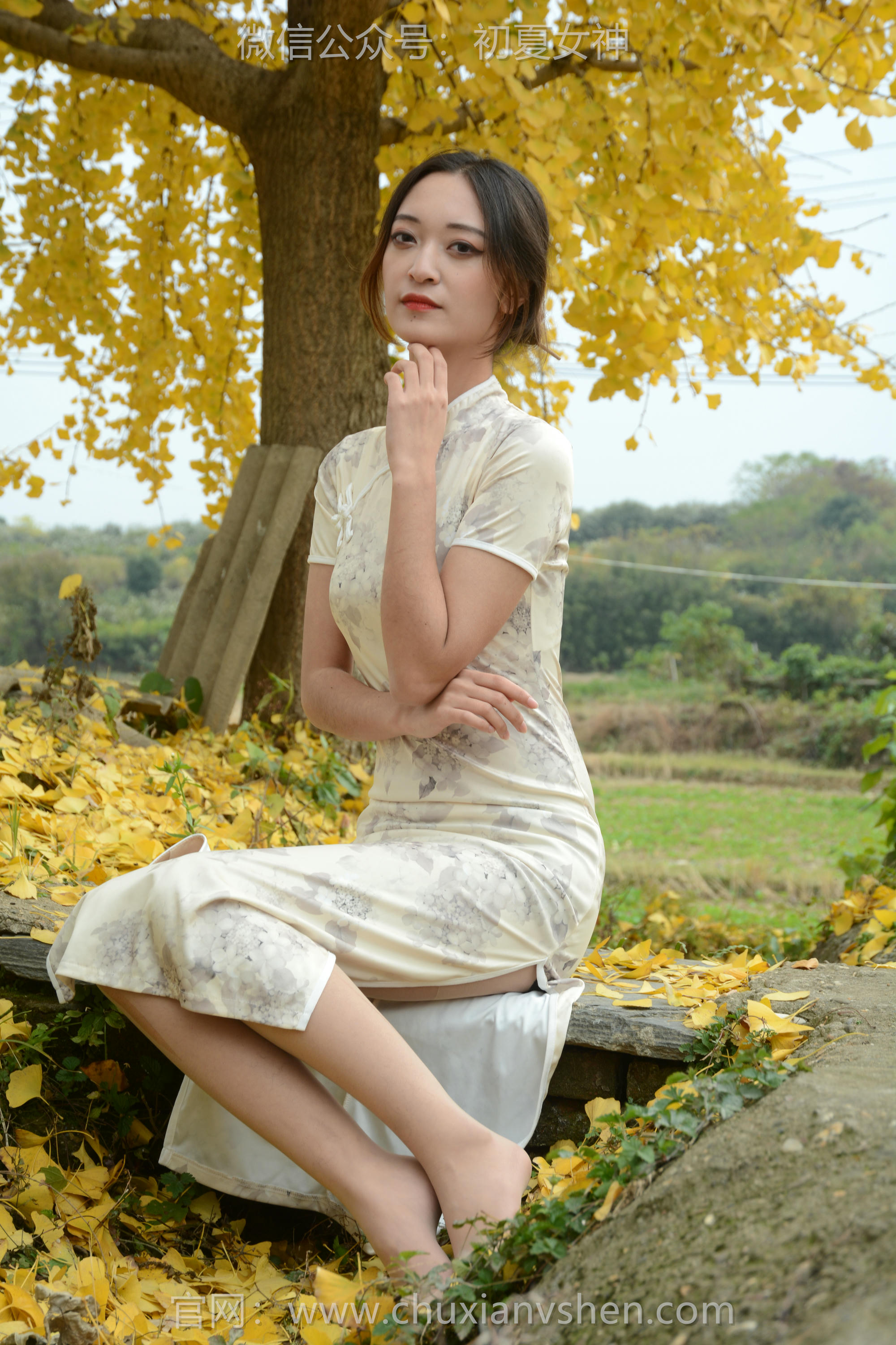 初夏女神 NO.120 依依 寒冬旗袍风[140P+1V／3.27GB]_第3集