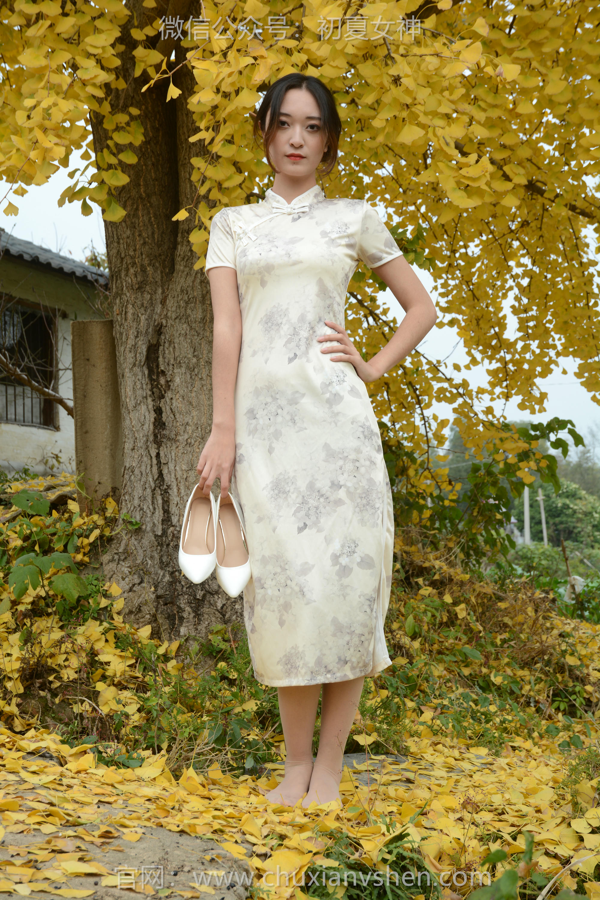 初夏女神 NO.120 依依 寒冬旗袍风[140P+1V／3.27GB]_第3集