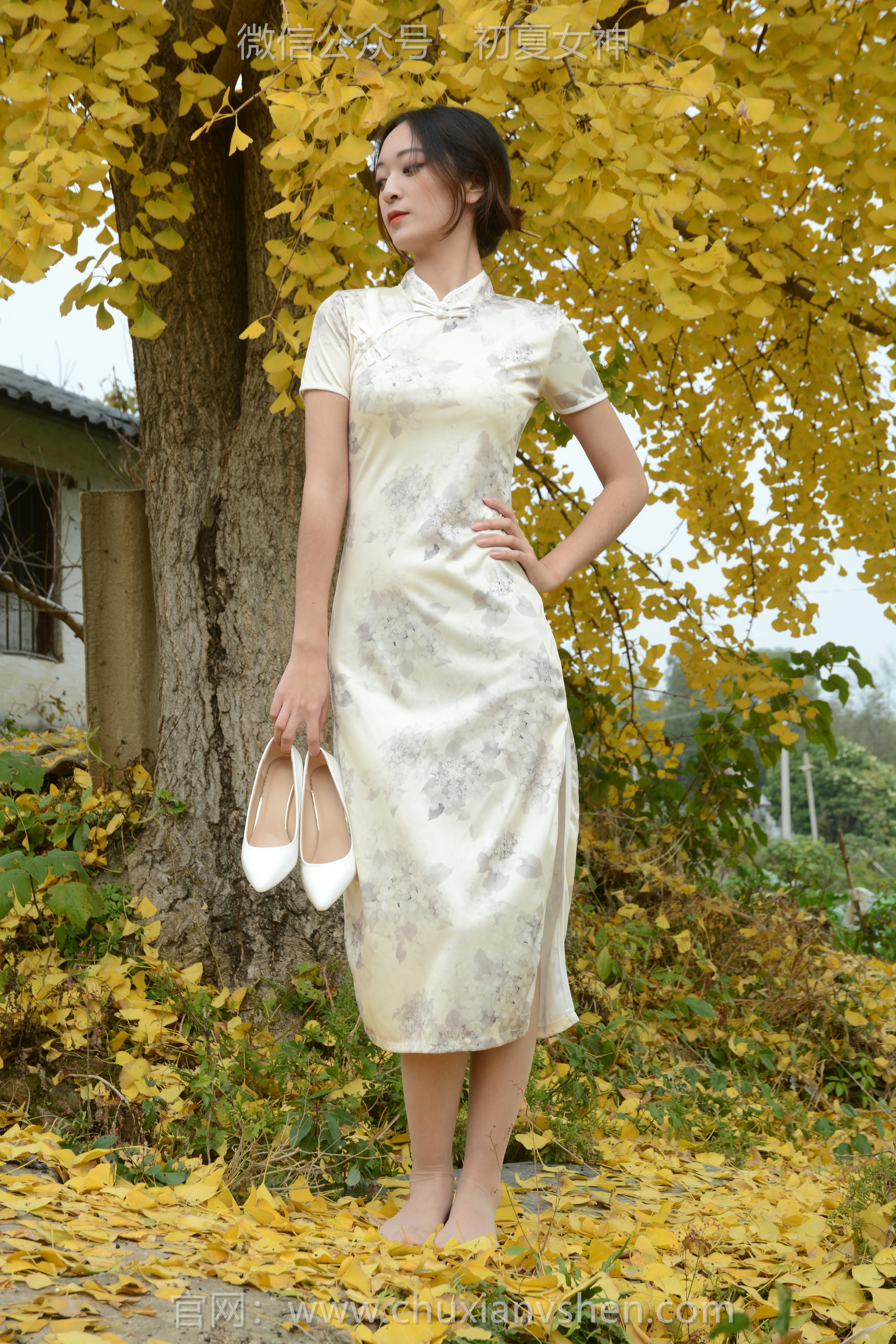 初夏女神 NO.120 依依 寒冬旗袍风[140P+1V／3.27GB]_第3集