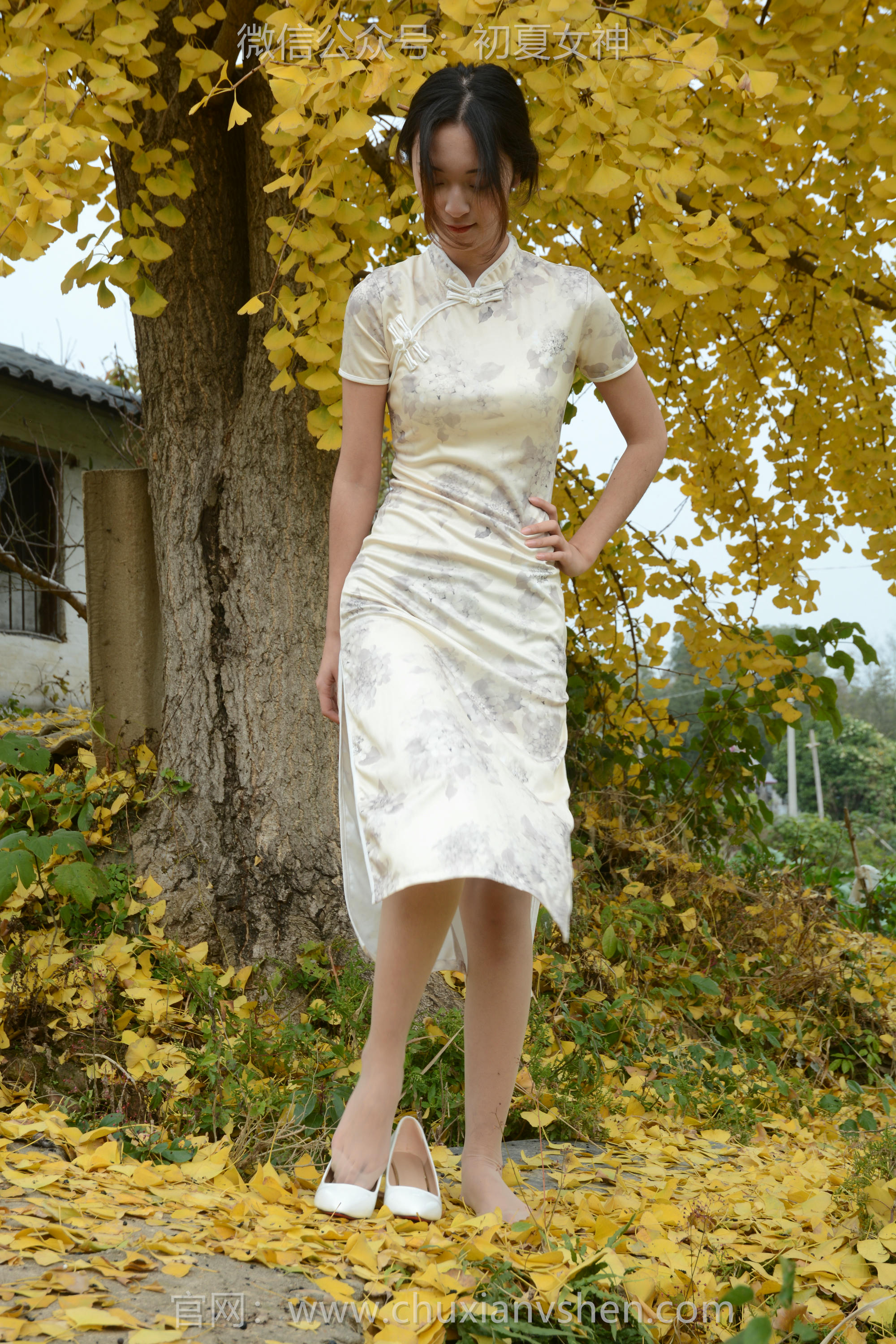 初夏女神 NO.120 依依 寒冬旗袍风[140P+1V／3.27GB]_第3集