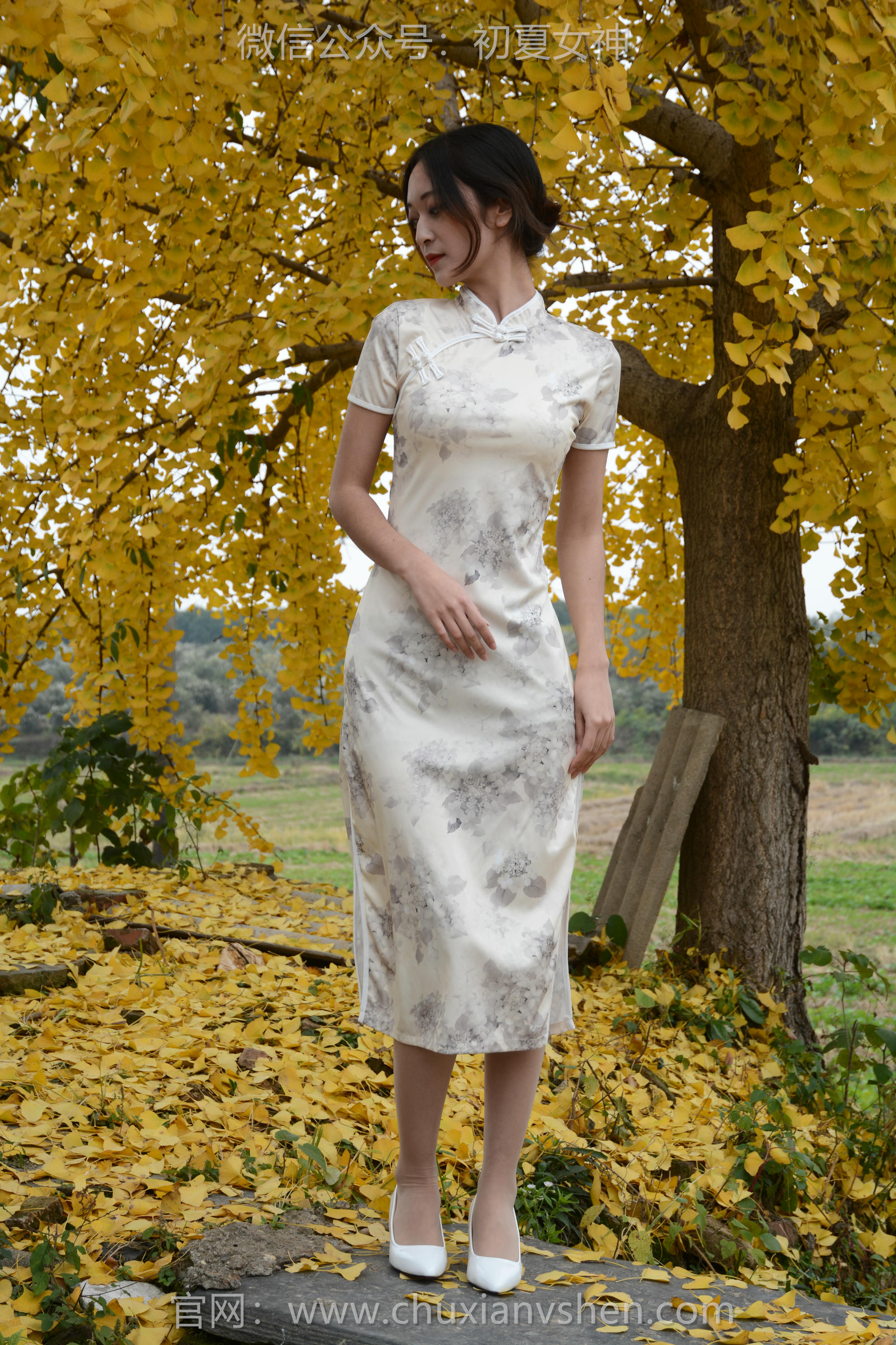 初夏女神 NO.120 依依 寒冬旗袍风[140P+1V／3.27GB]_第1集