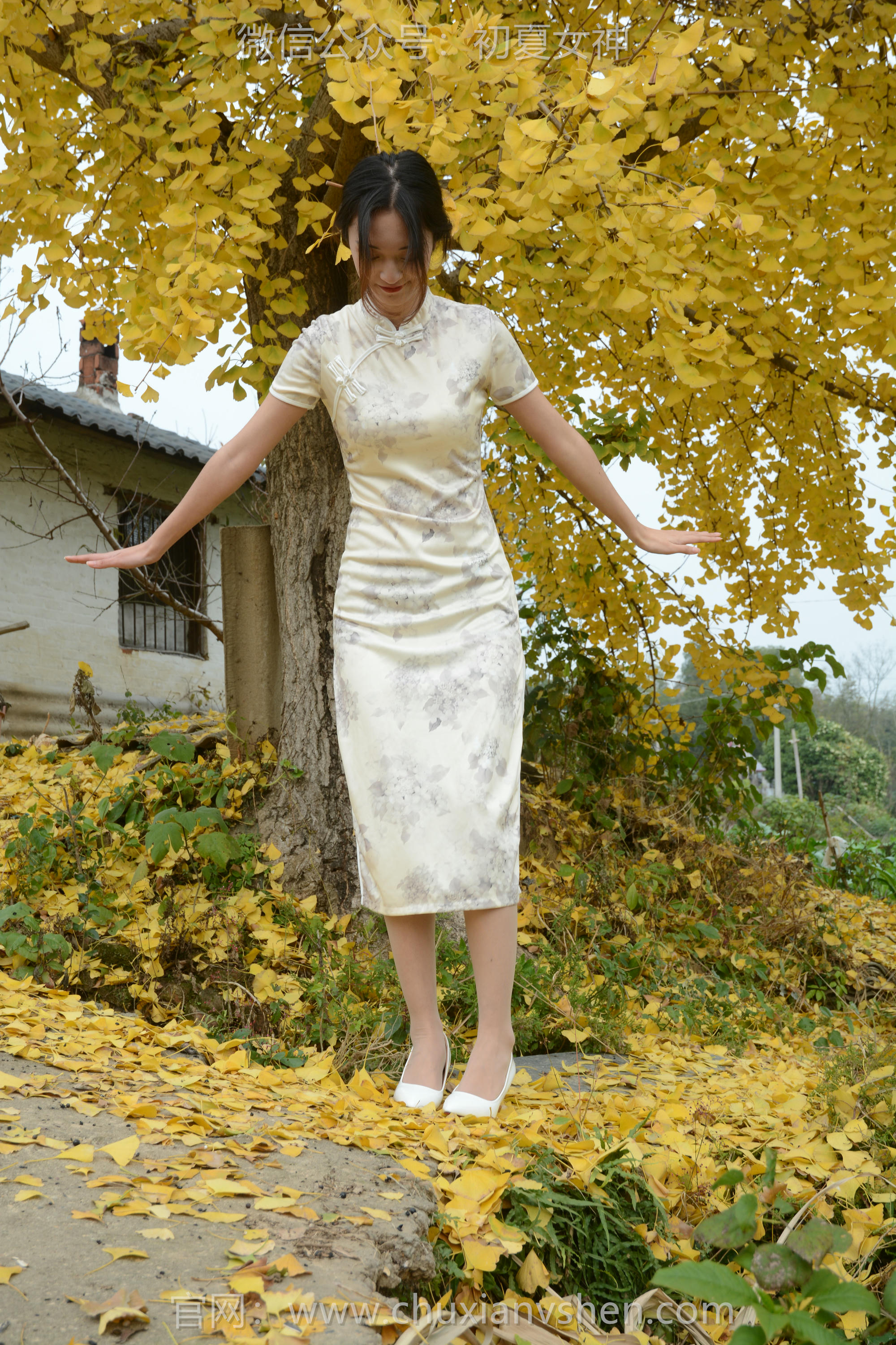 初夏女神 NO.120 依依 寒冬旗袍风[140P+1V／3.27GB]_第3集