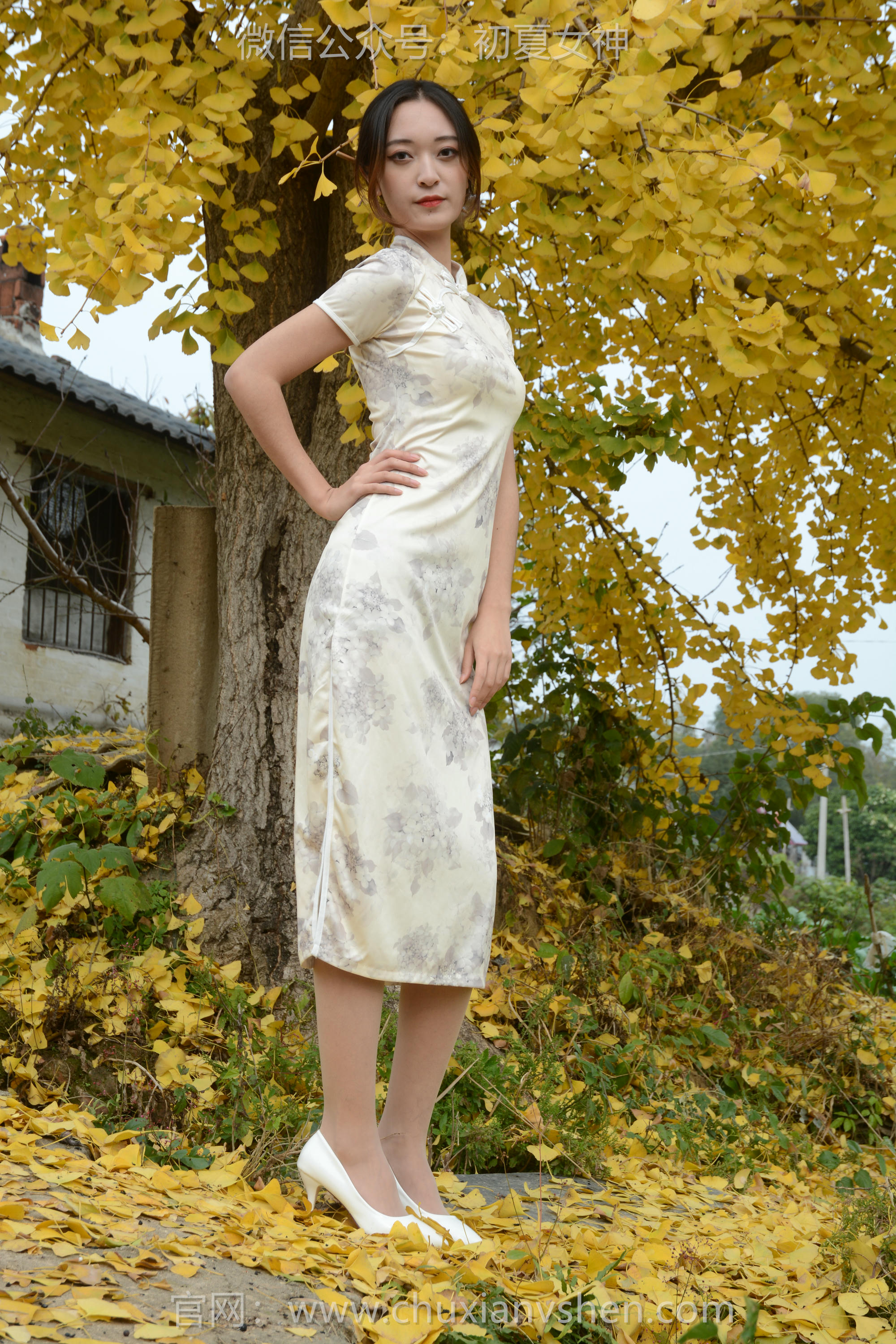 初夏女神 NO.120 依依 寒冬旗袍风[140P+1V／3.27GB]_第4集