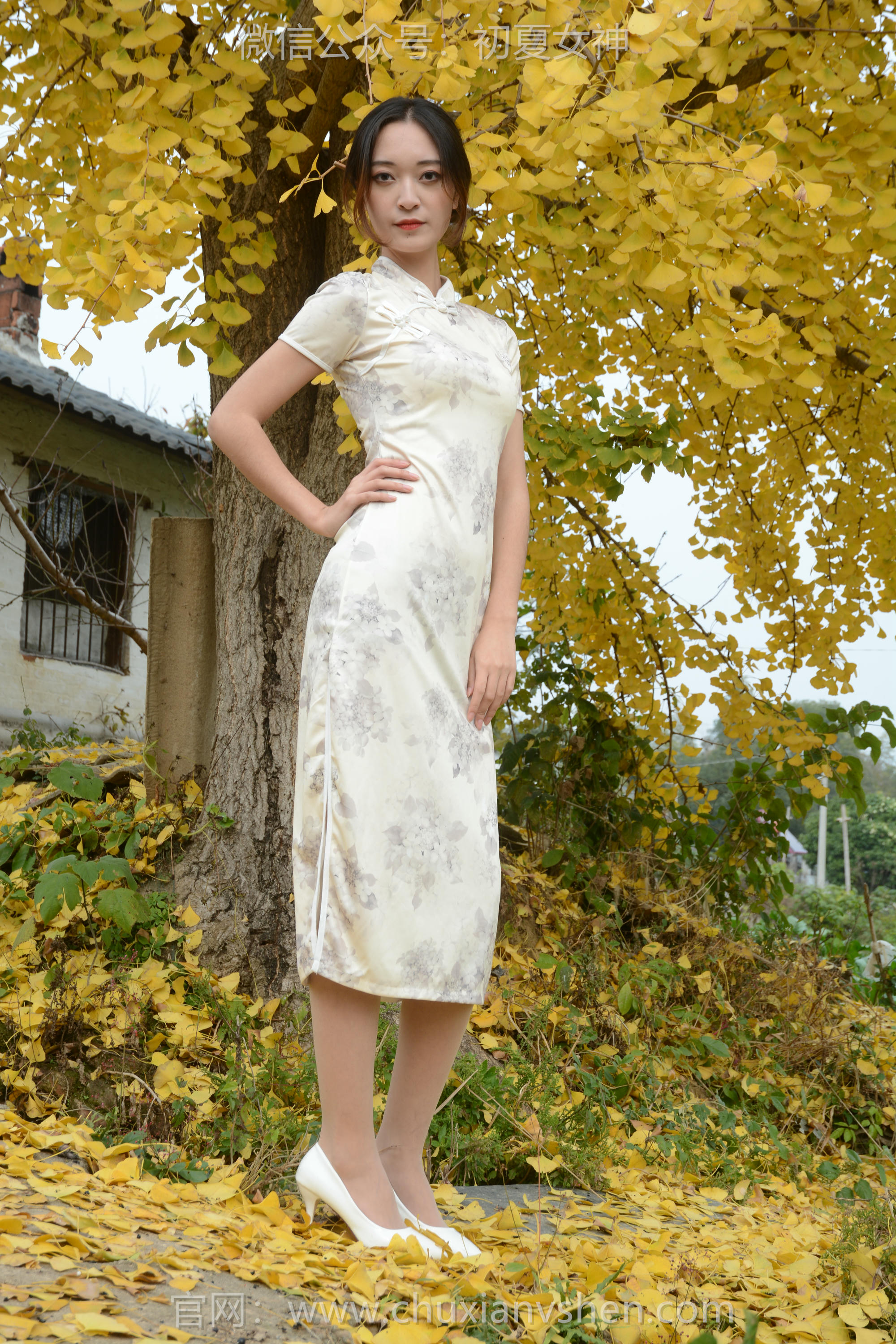 初夏女神 NO.120 依依 寒冬旗袍风[140P+1V／3.27GB]_第4集